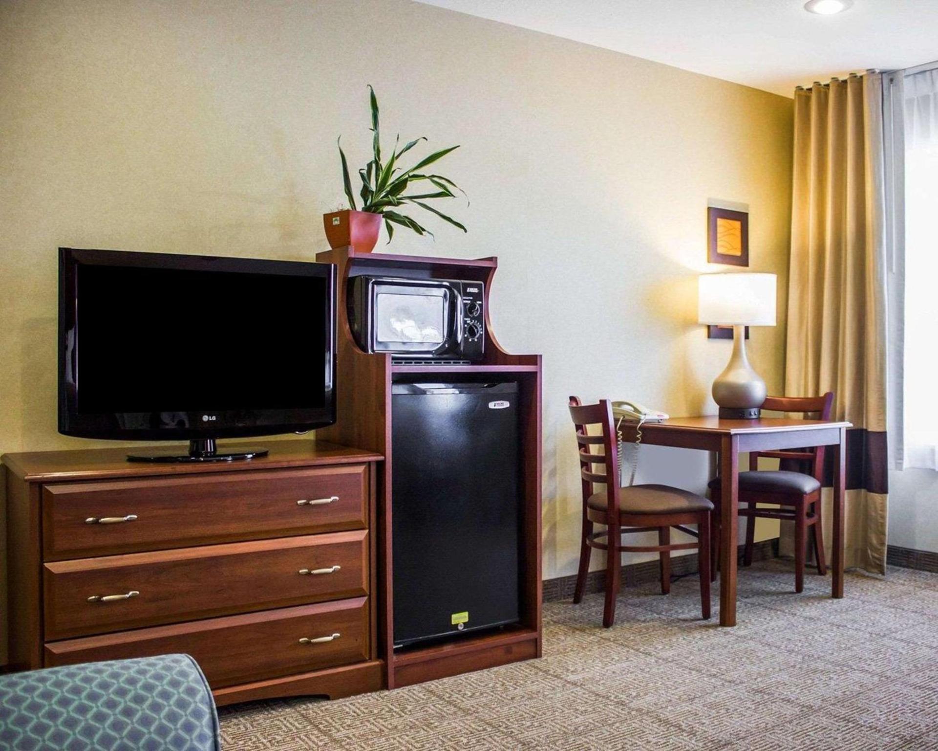 Spark by Hilton Guilford photo 16