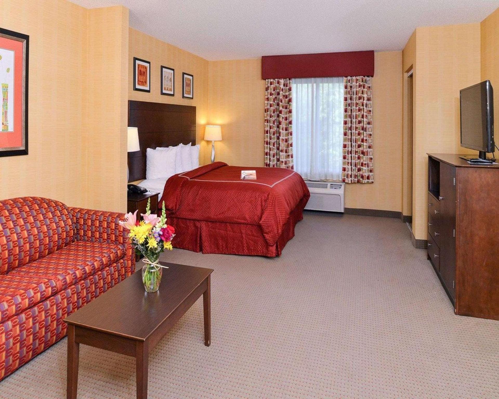 Quality Suites Stratford photo 9