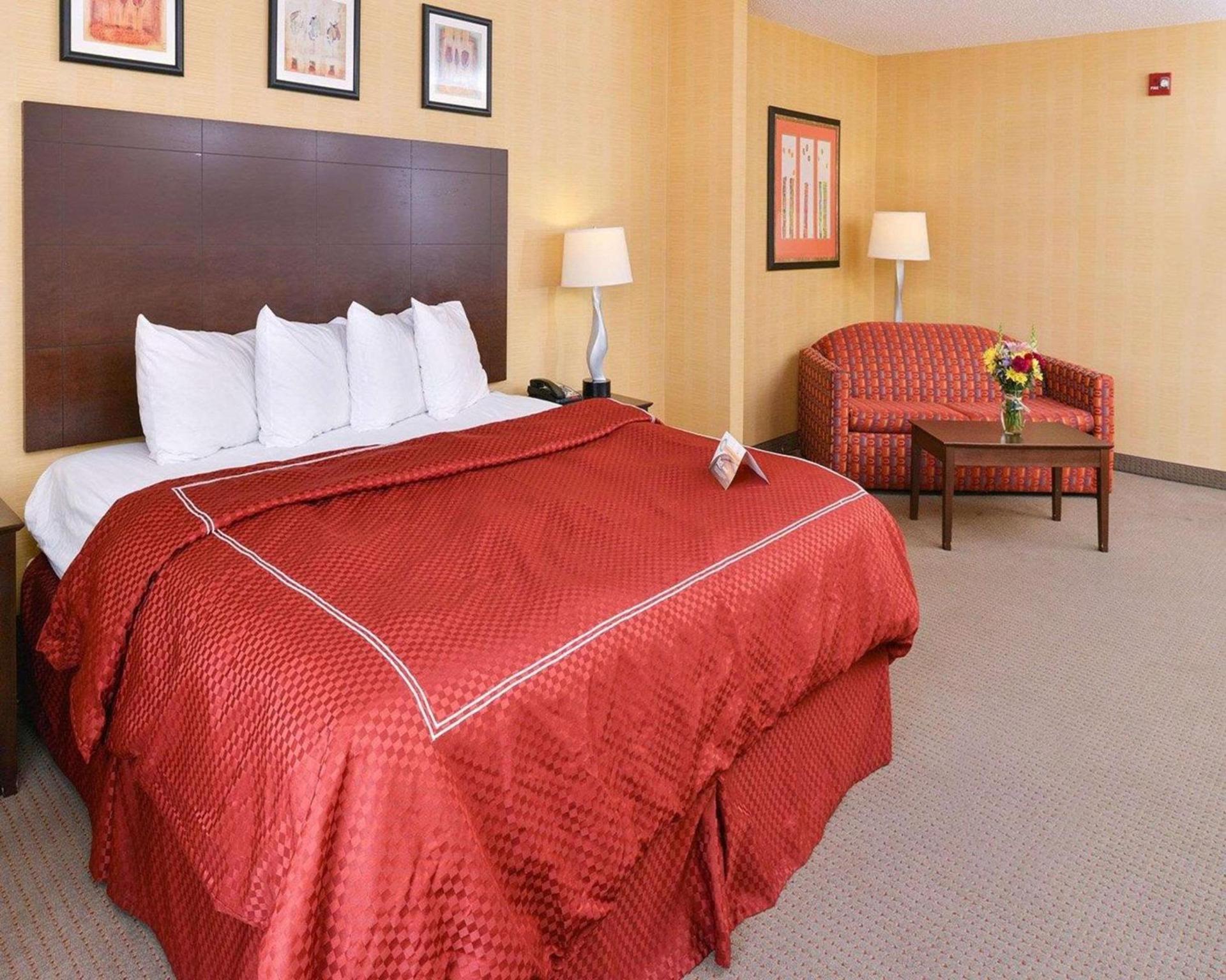 Quality Suites Stratford photo 10