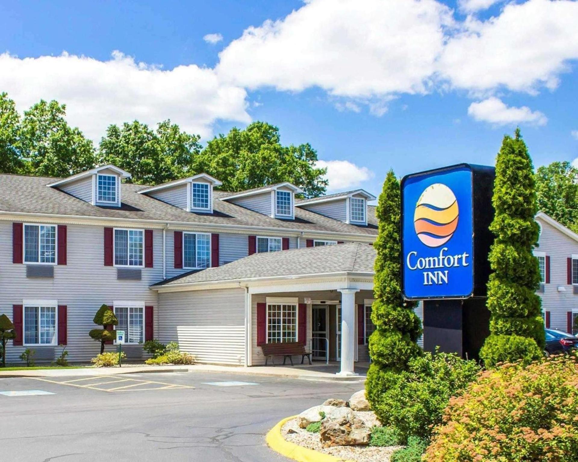 Spark by Hilton Guilford photo 1