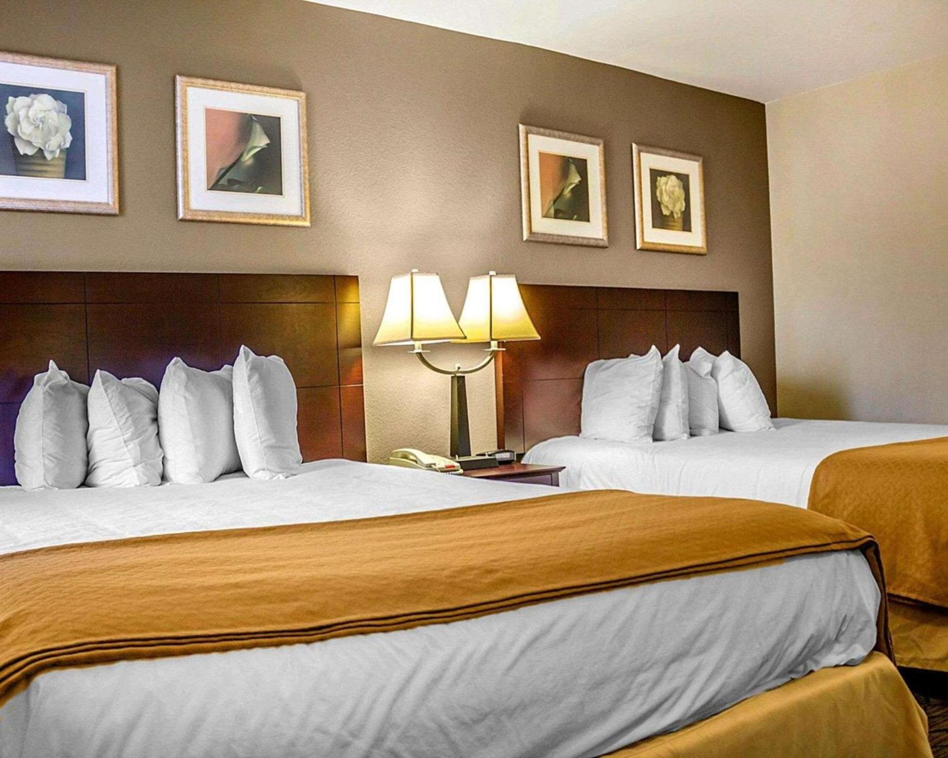 Quality Inn Waterbury East photo 12