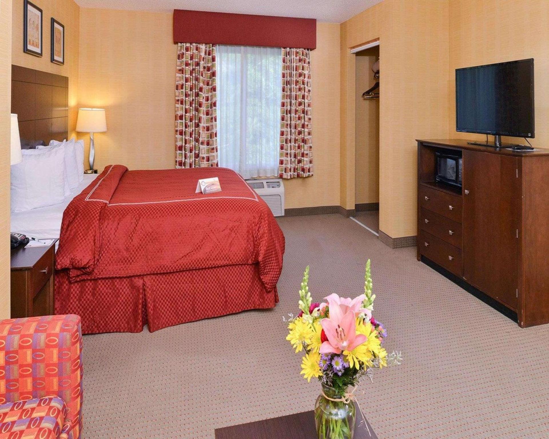 Quality Suites Stratford photo 12