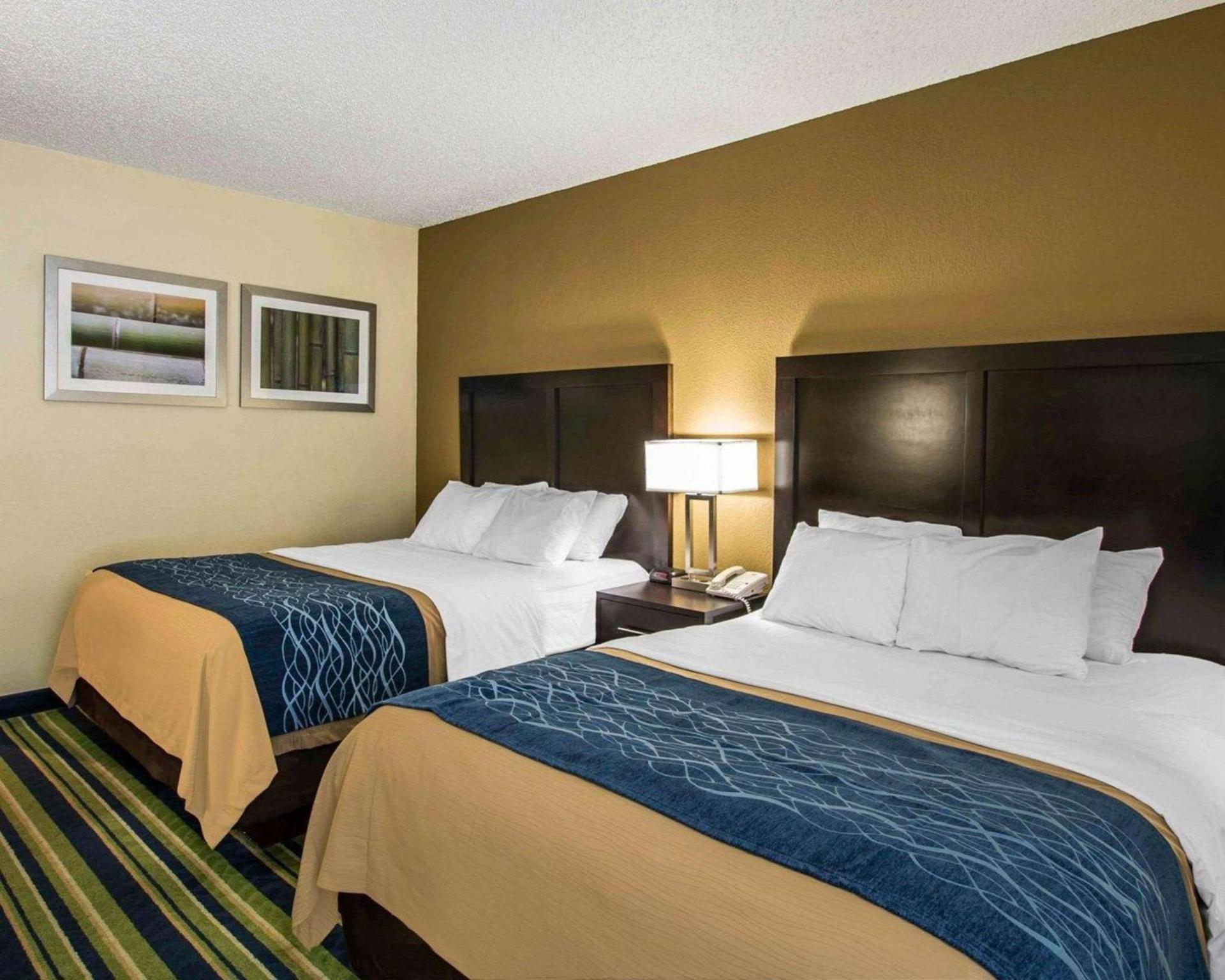 Comfort Inn & Suites Lantana - West Palm Beach South photo 13