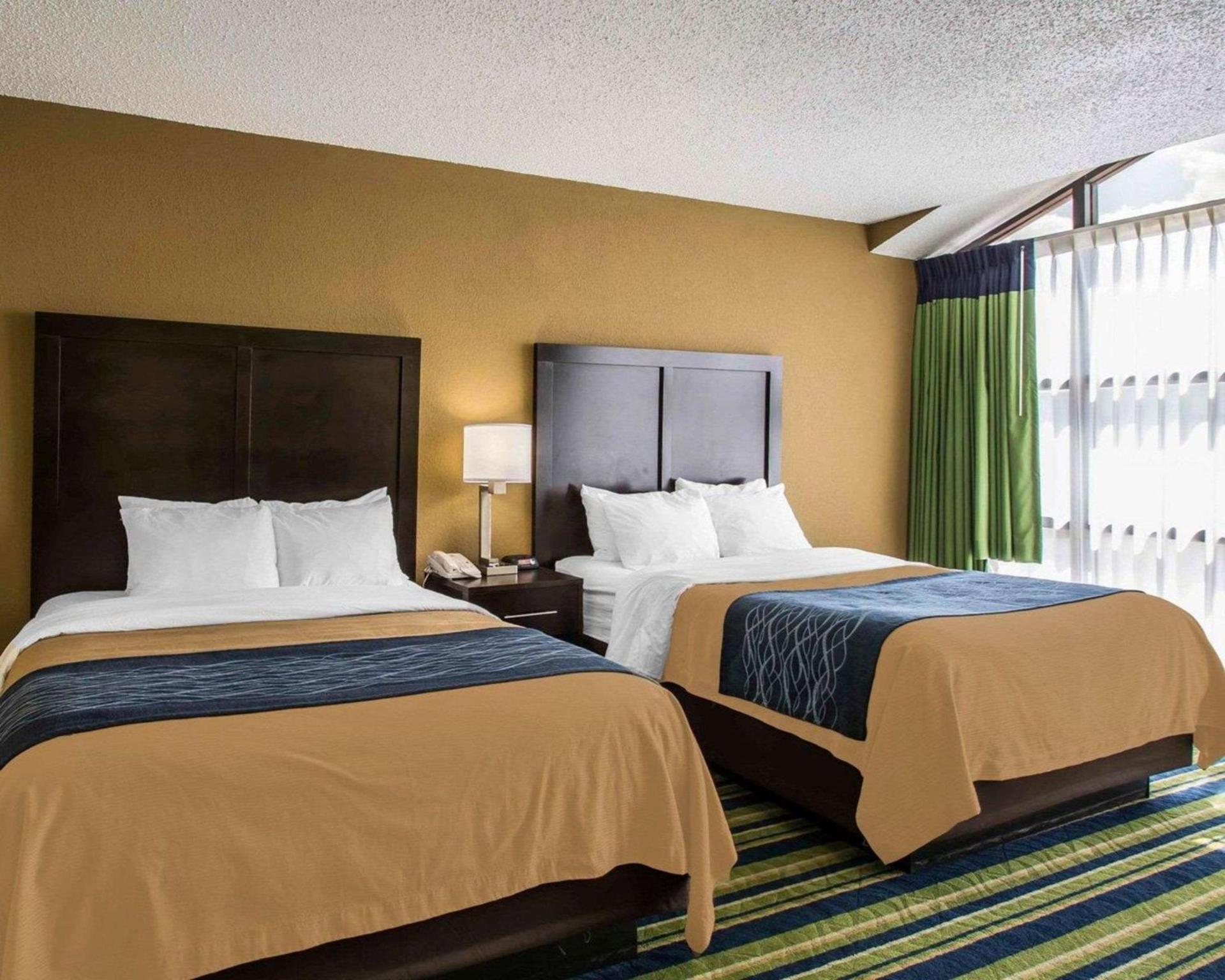 Comfort Inn & Suites Lantana - West Palm Beach South photo 17
