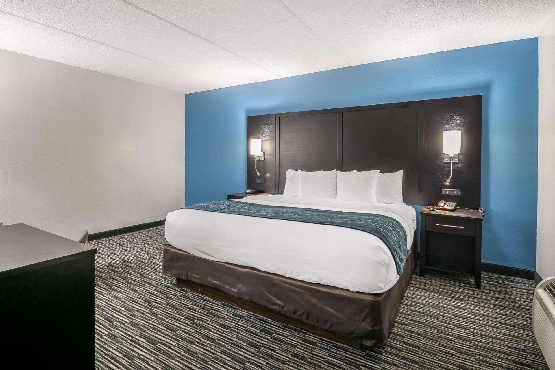 Comfort Inn University photo 12