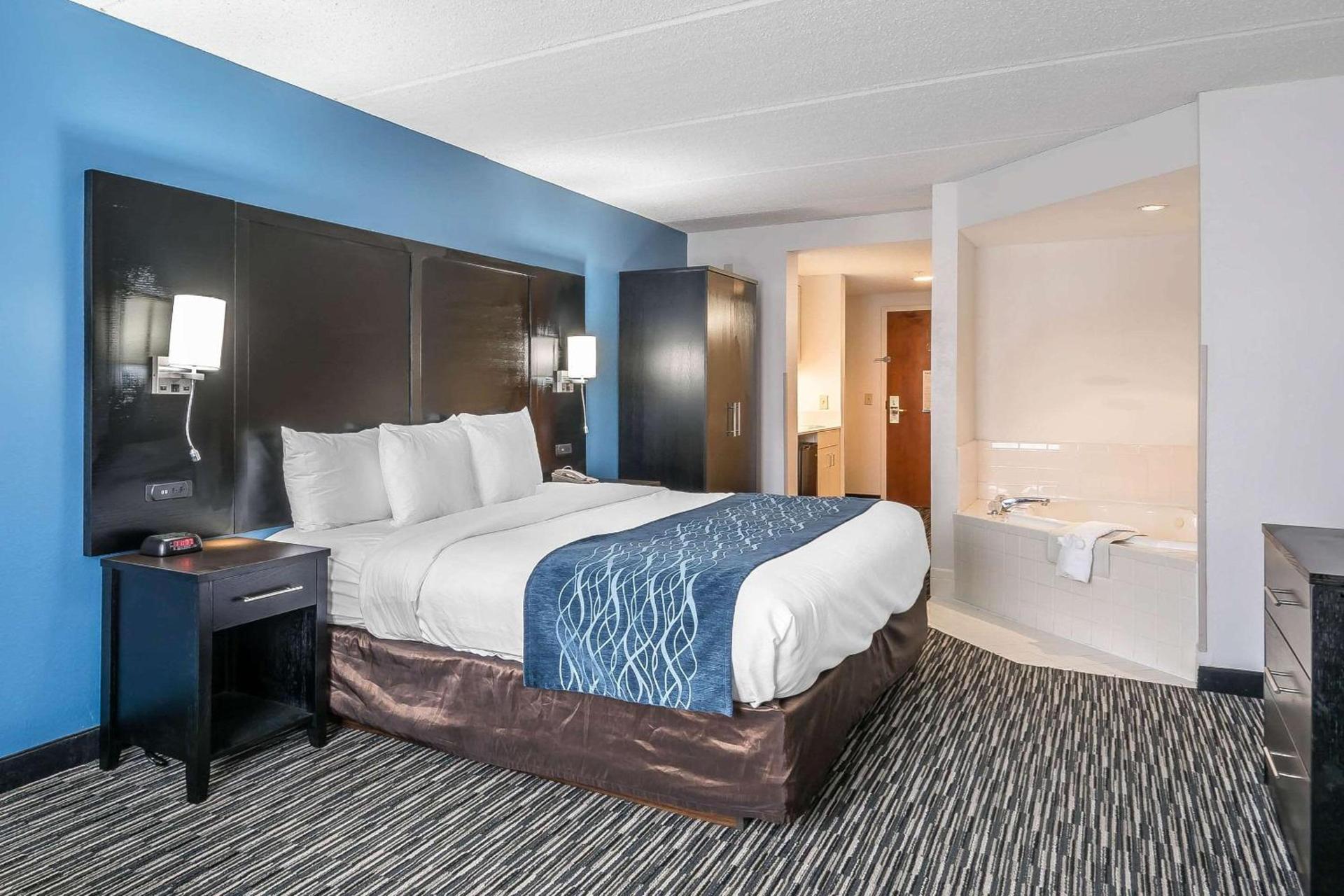 Comfort Inn University photo 24