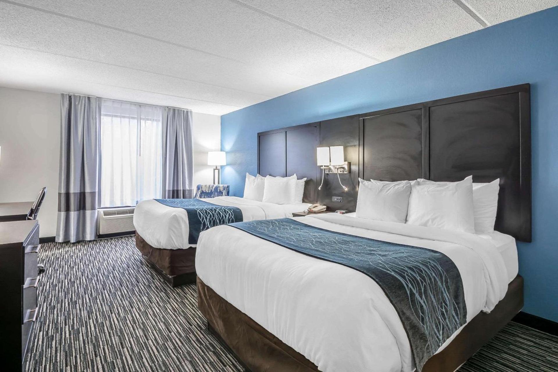 Comfort Inn University photo 2