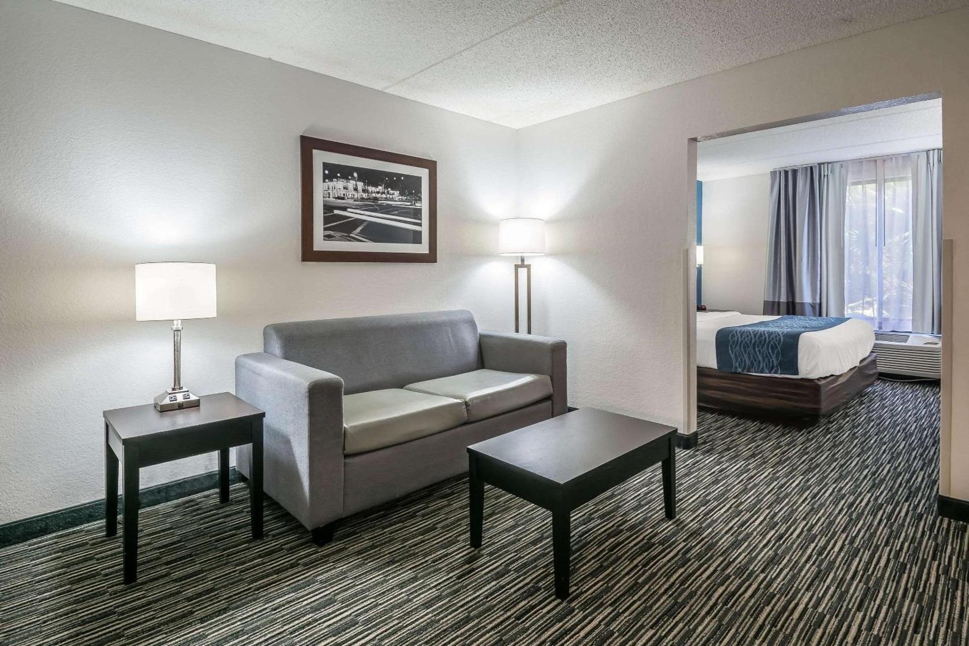 Comfort Inn University photo 30