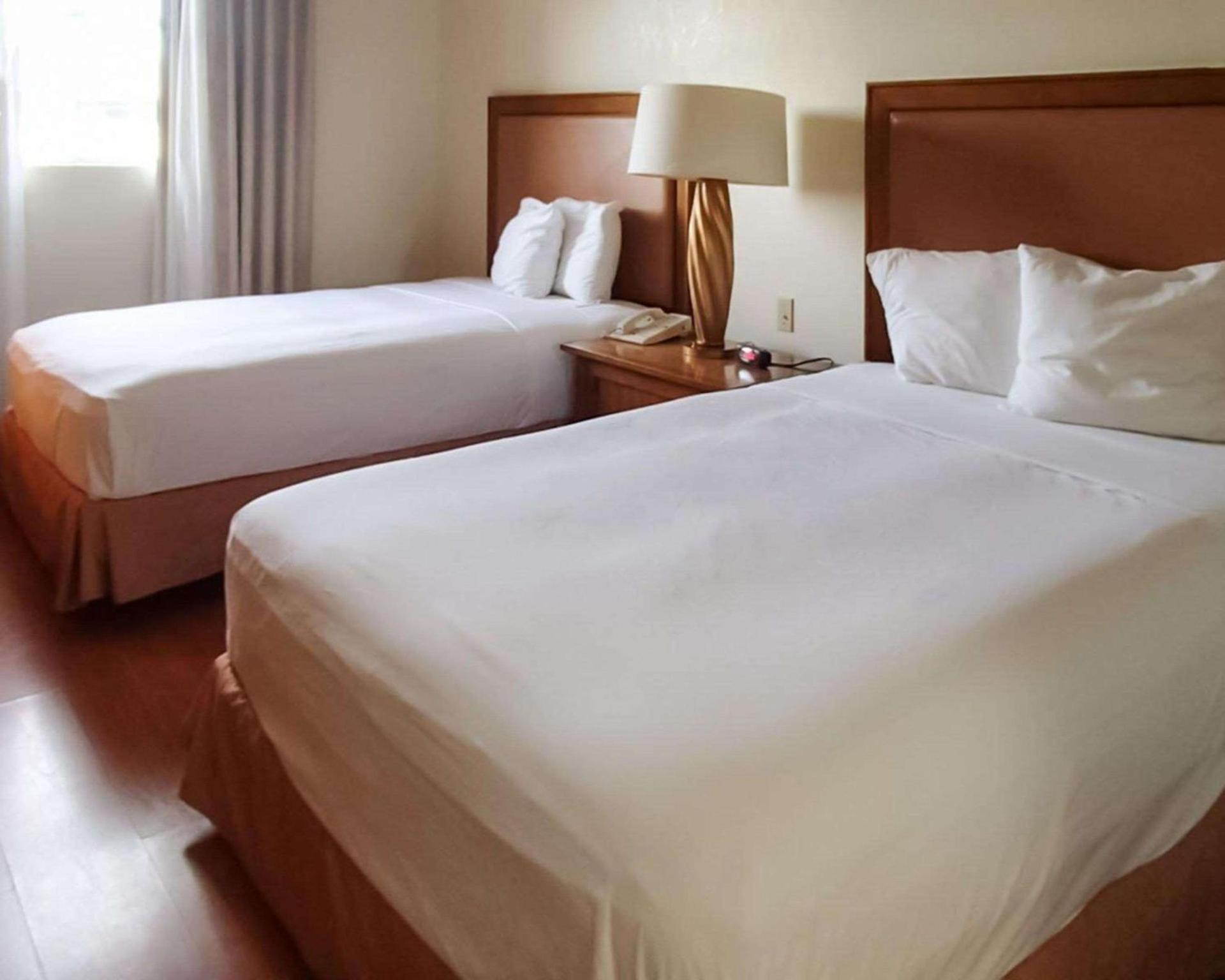 Rodeway Inn South Miami - Coral Gables photo 7