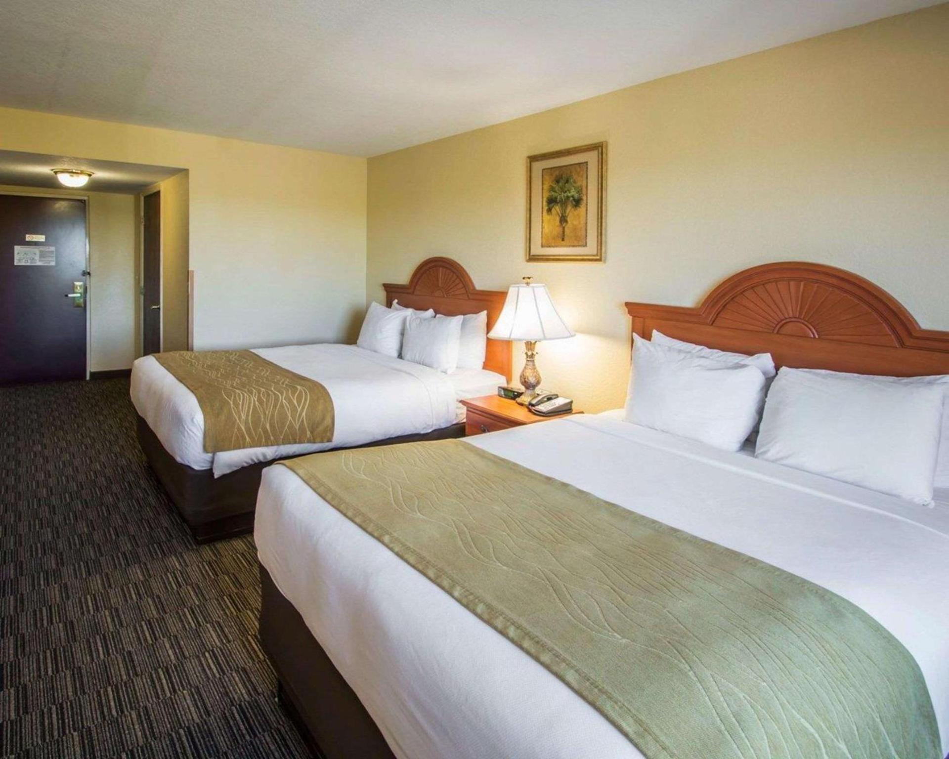 Comfort Inn & Suites Jupiter I-95 photo 4