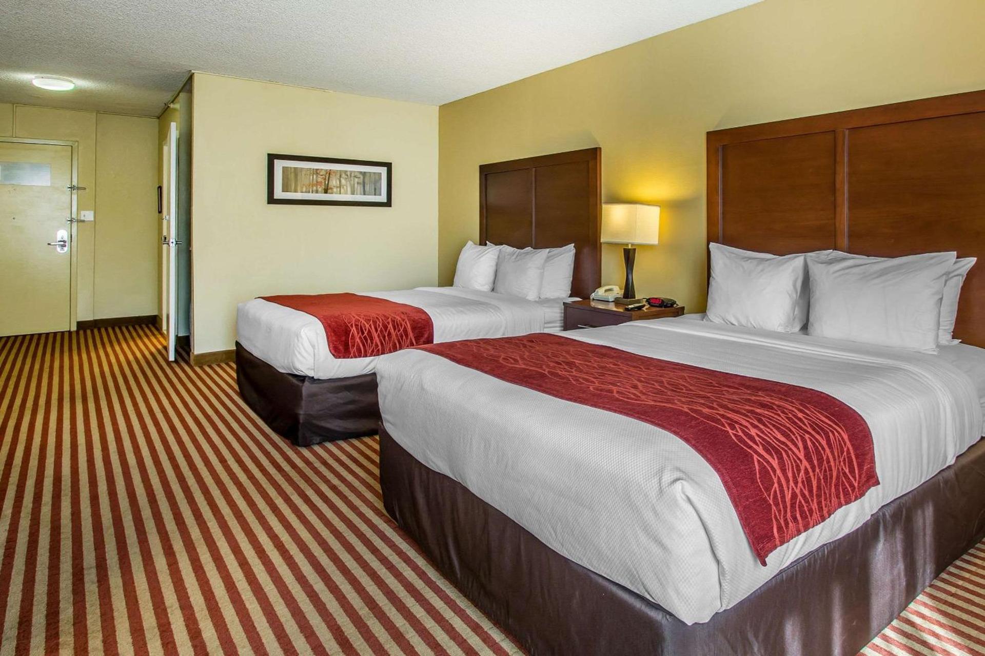 The Adventure Hotel by the Parks photo 10