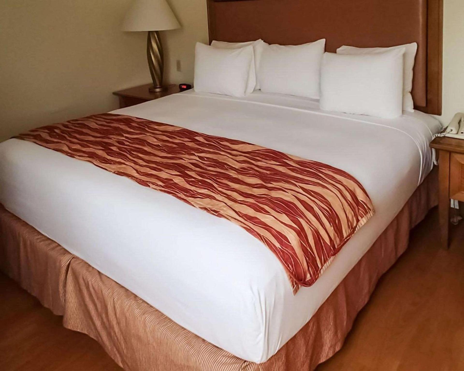 Rodeway Inn South Miami - Coral Gables photo 11