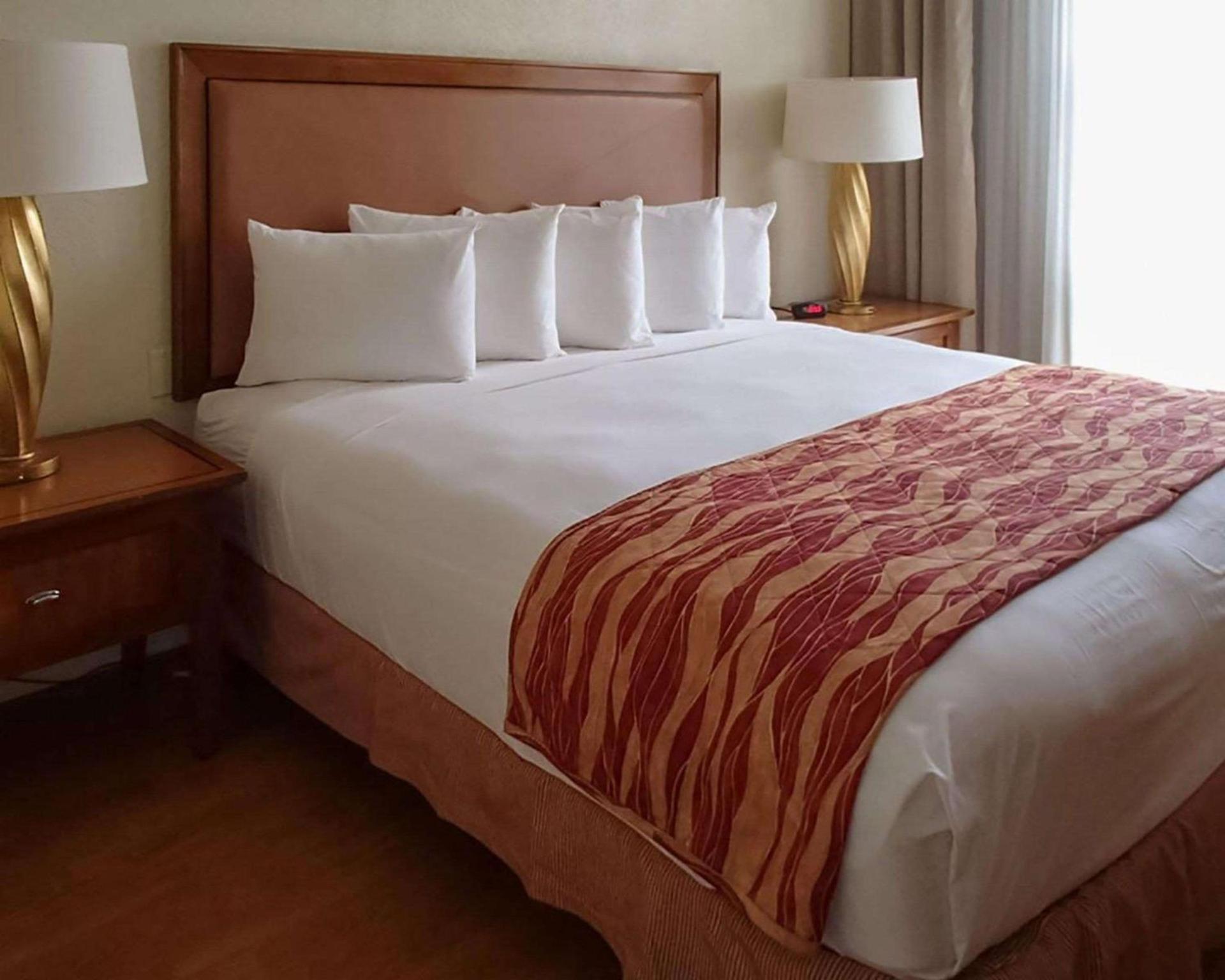 Rodeway Inn South Miami - Coral Gables photo 4