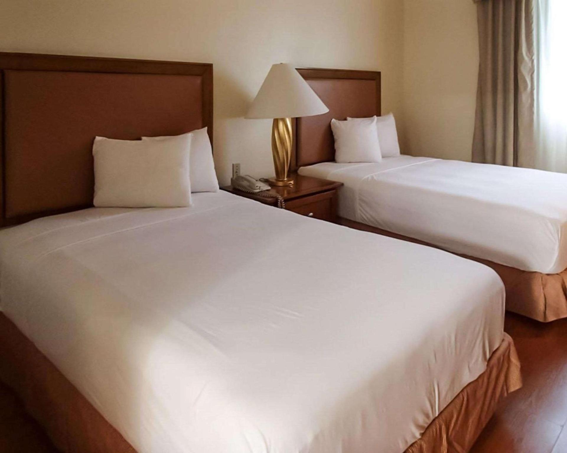 Rodeway Inn South Miami - Coral Gables photo 8