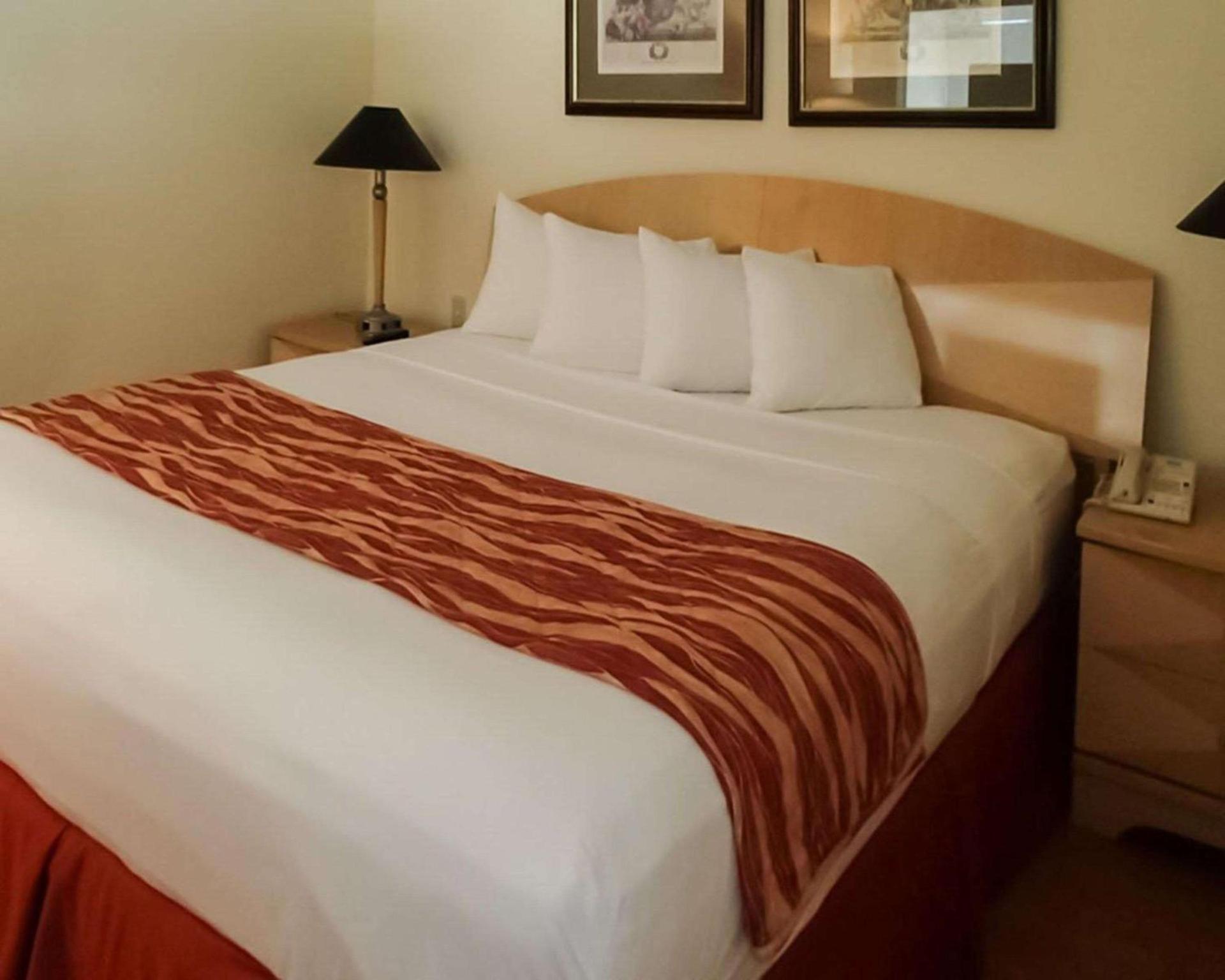 Rodeway Inn South Miami - Coral Gables photo 18