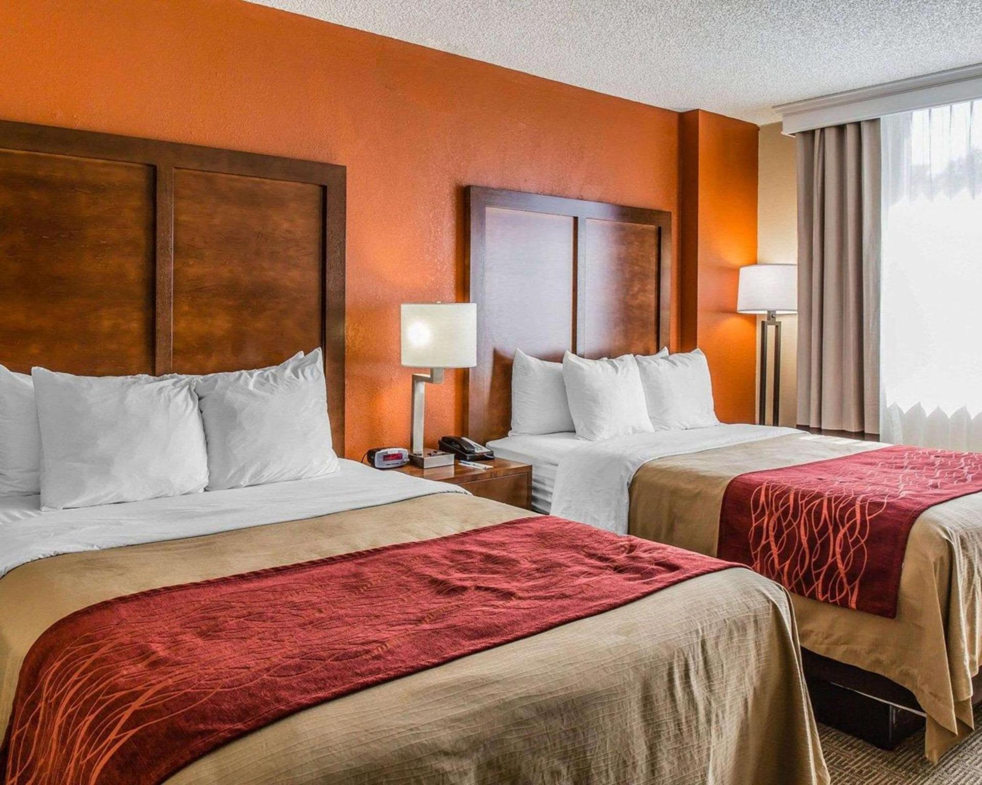 Comfort Inn & Suites Lakeland North I-4 photo 29