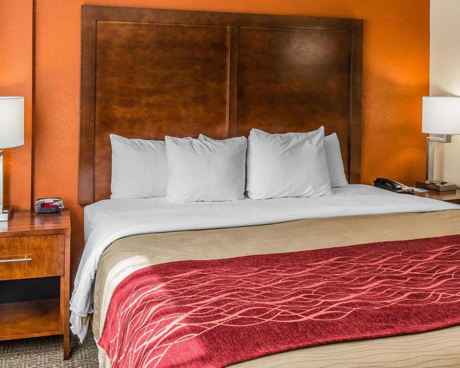 Comfort Inn & Suites Lakeland North I-4 photo 31