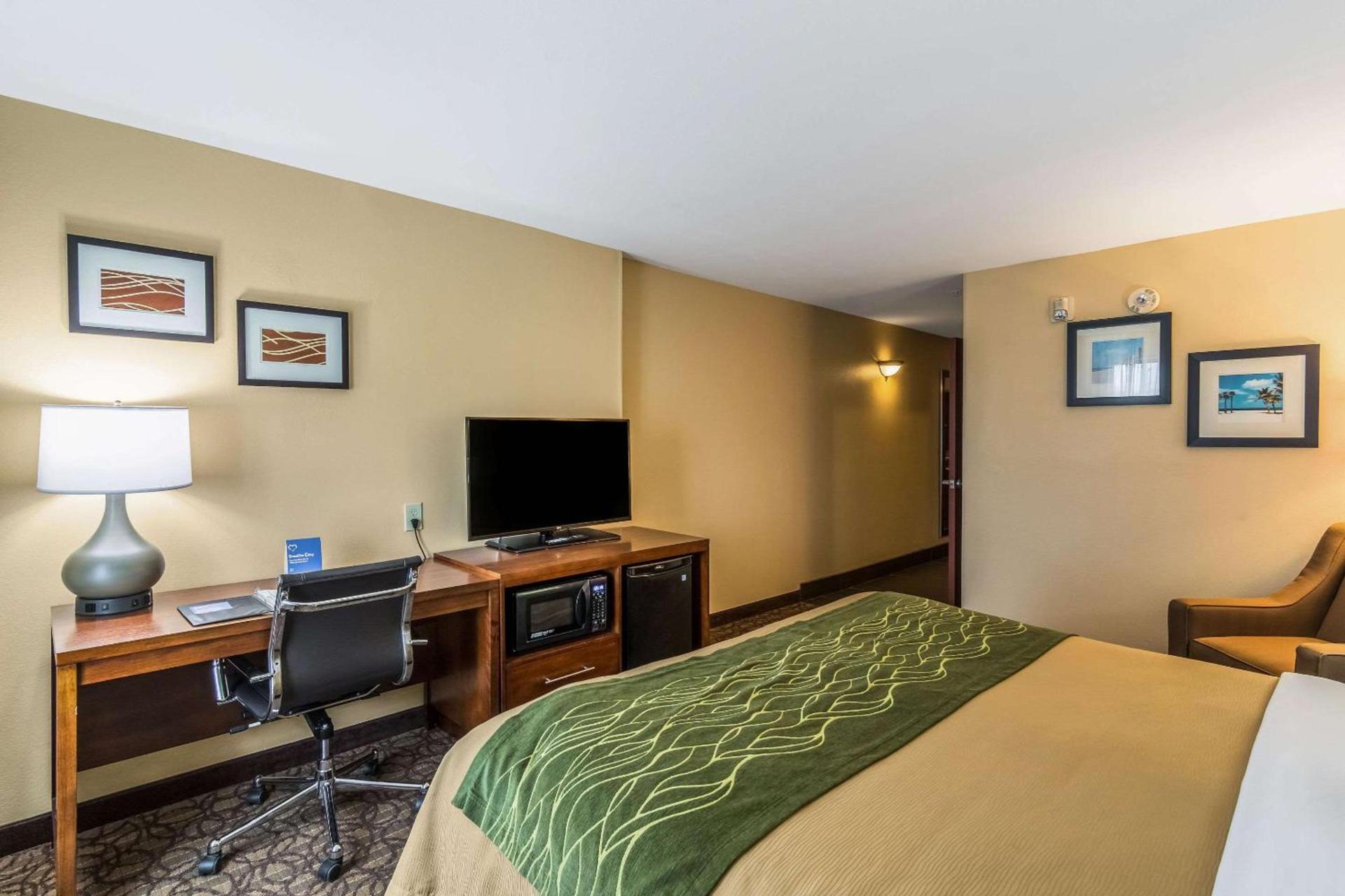 Comfort Inn & Suites Panama City North photo 5