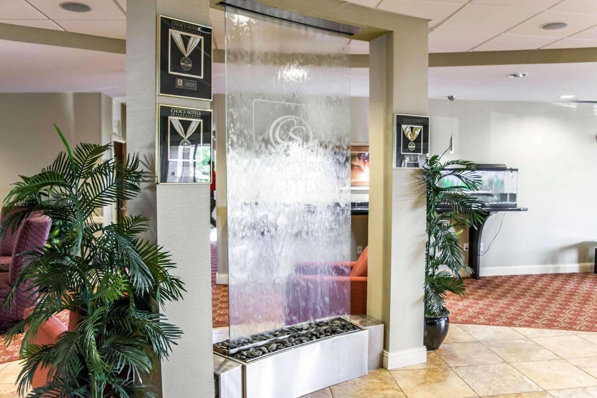 Comfort Suites Palm Bay - Melbourne photo 6