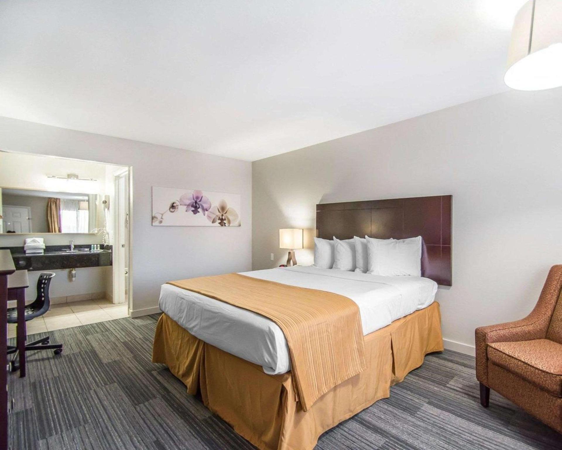 Quality Inn & Suites By the Parks photo 32