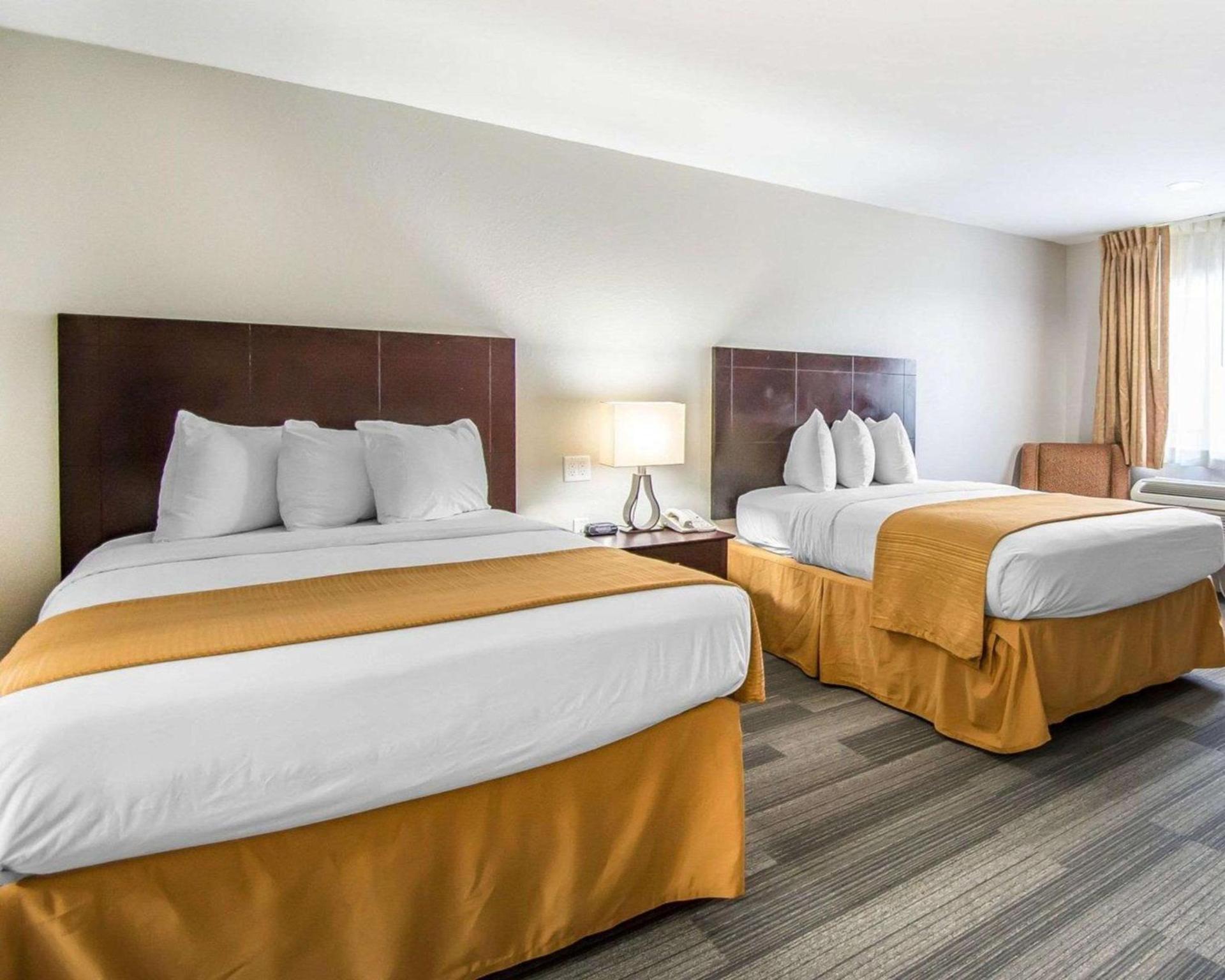 Quality Inn & Suites By the Parks photo 4