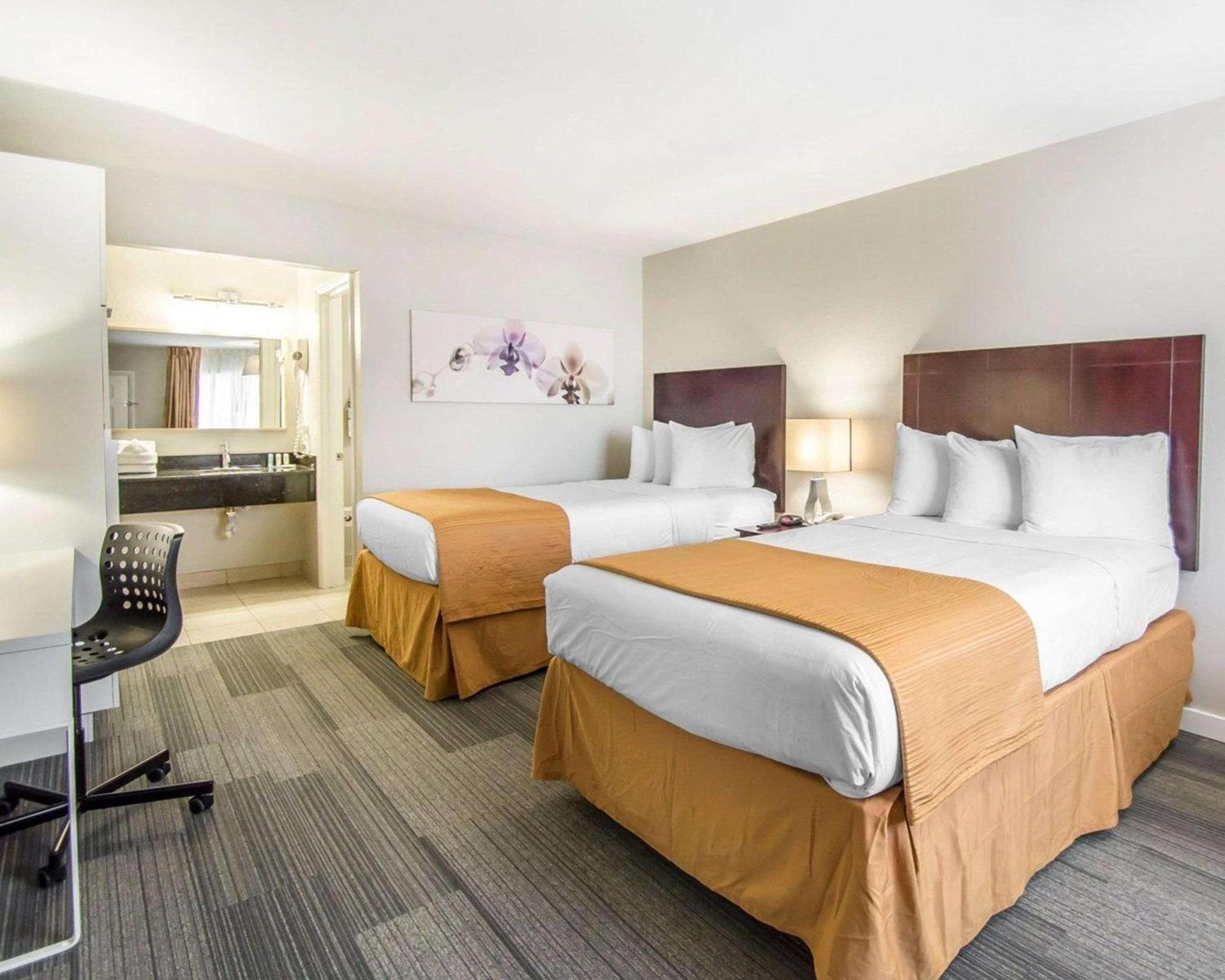 Quality Inn & Suites By the Parks photo 34