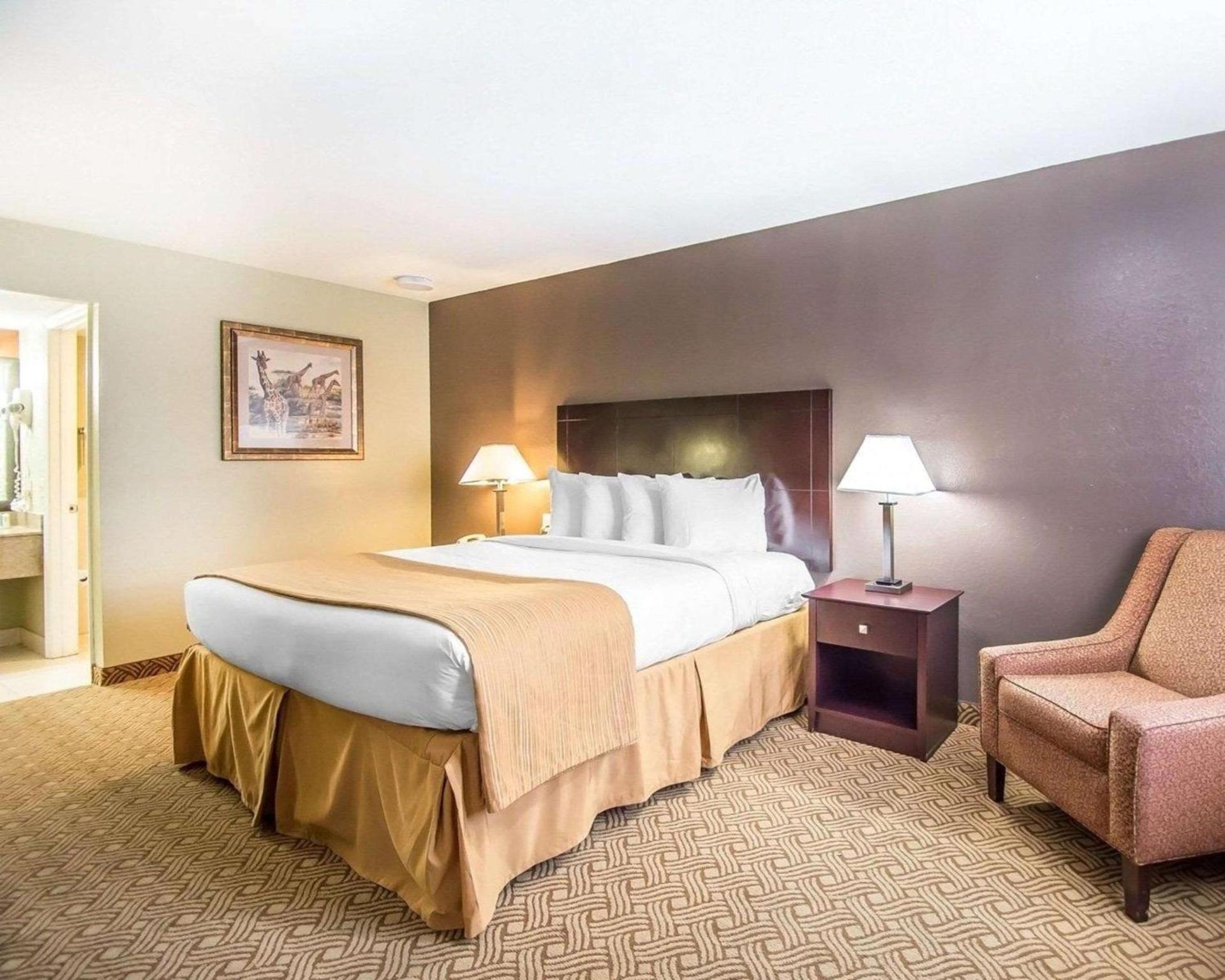 Quality Inn & Suites By the Parks photo 16
