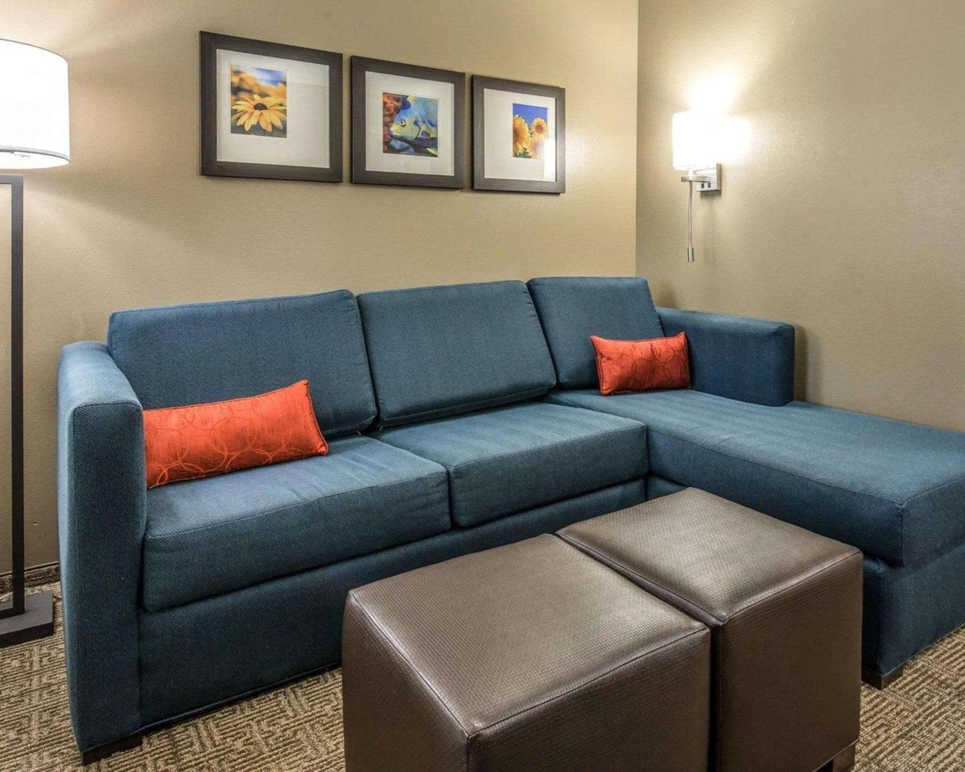 Comfort Suites Dunnellon near Rainbow Springs photo 13