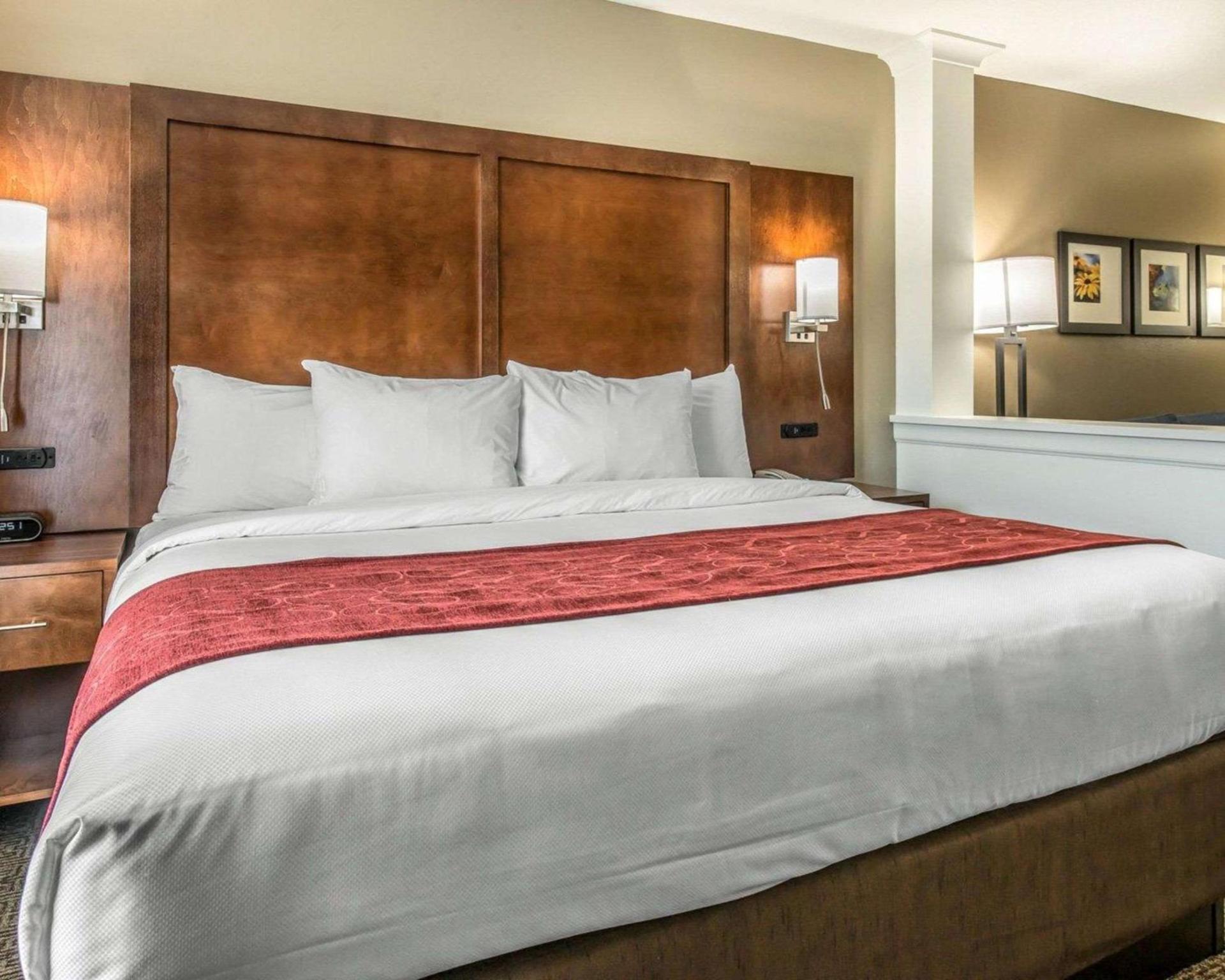 Comfort Suites Dunnellon near Rainbow Springs photo 10