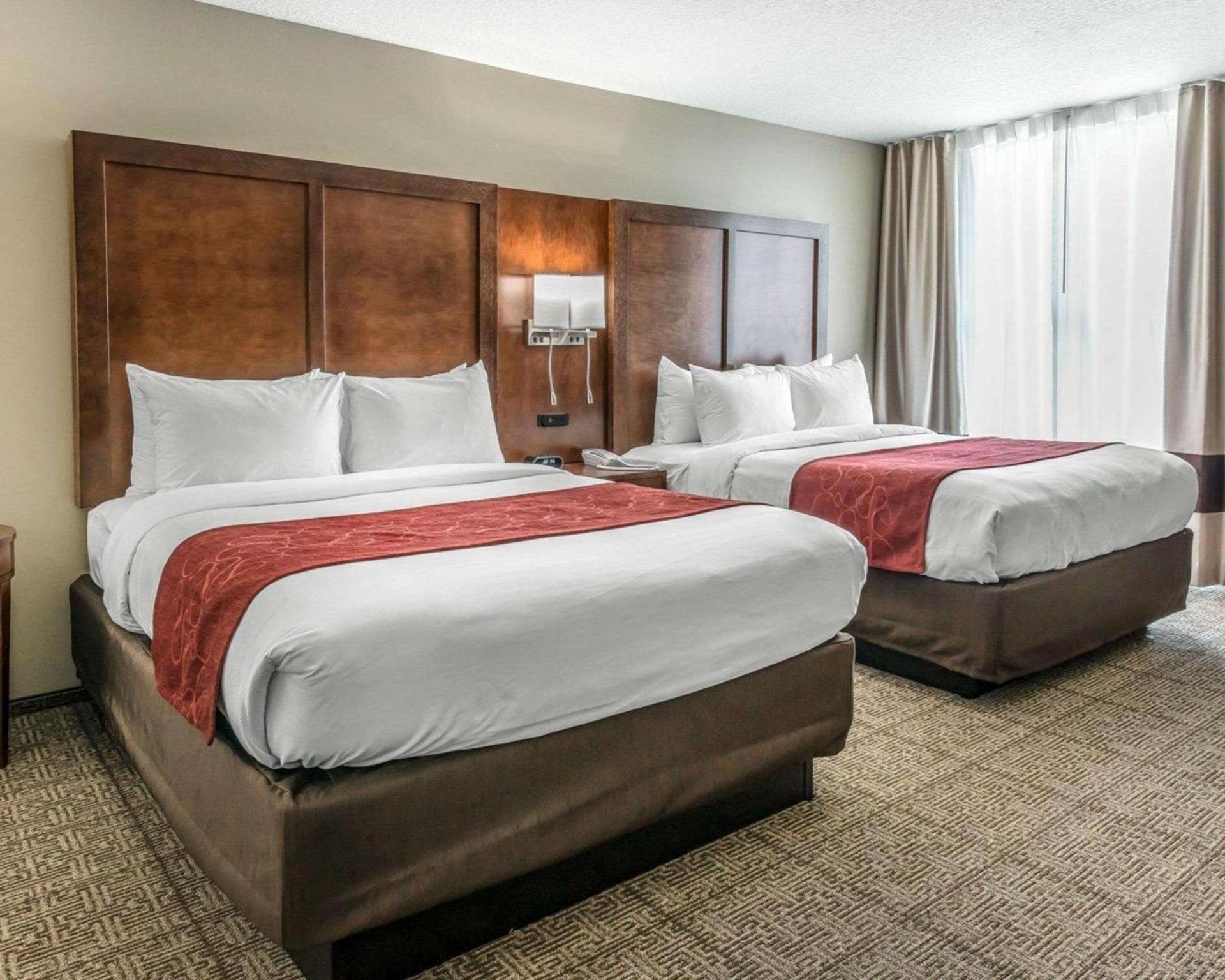 Comfort Suites Dunnellon near Rainbow Springs photo 11