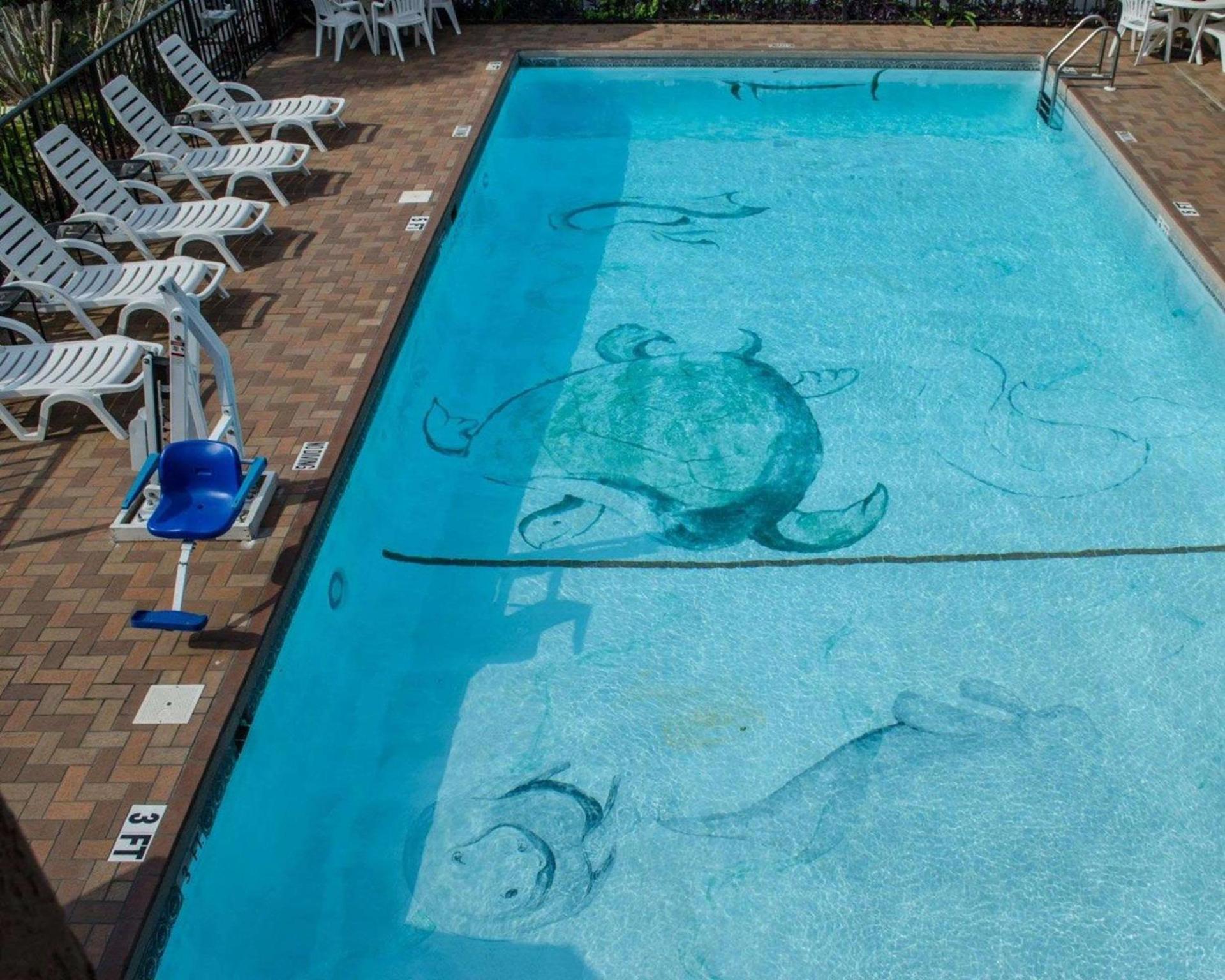 Quality Inn near Manatee Springs State Park photo 9