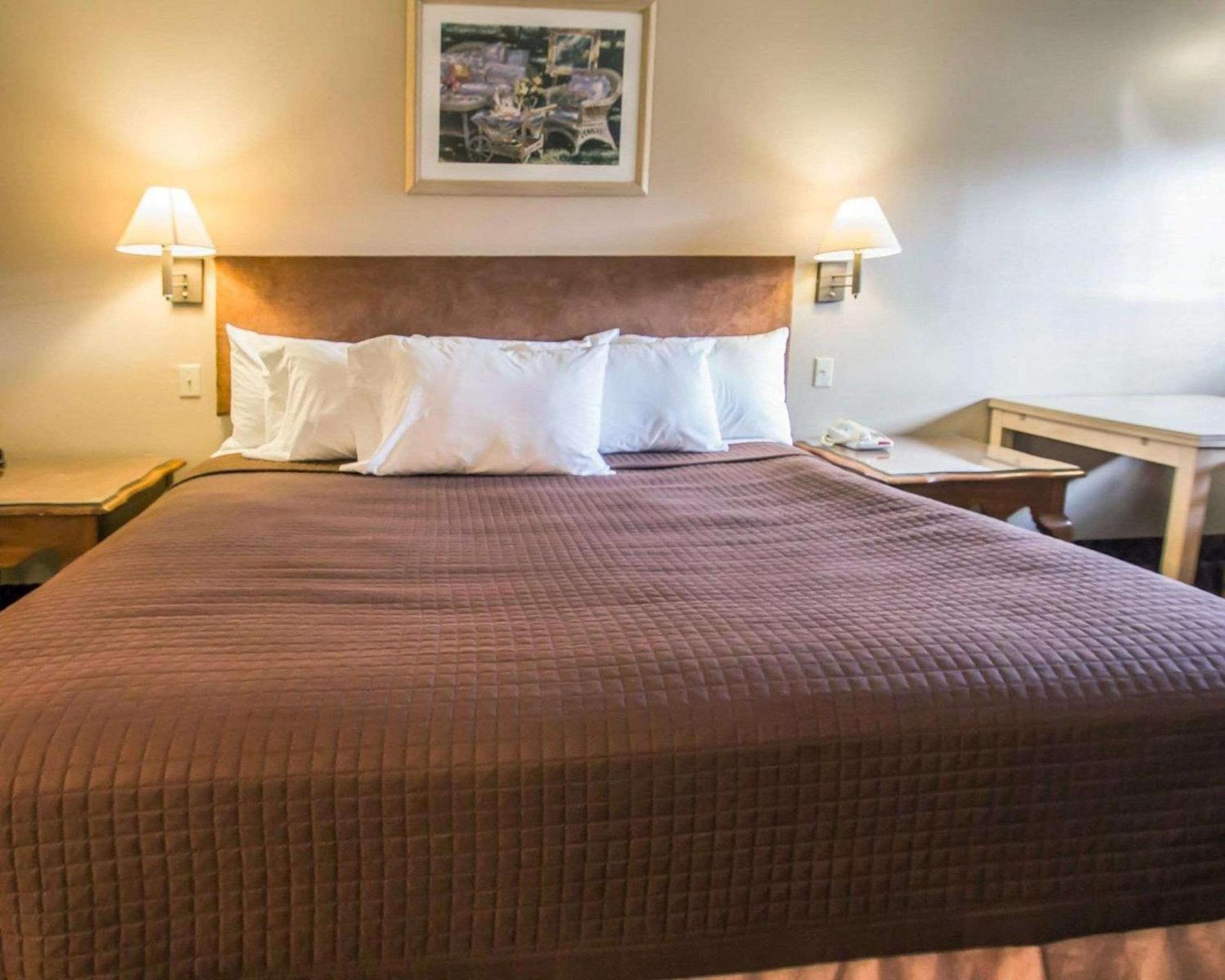 Rodeway Inn Apopka South photo 11