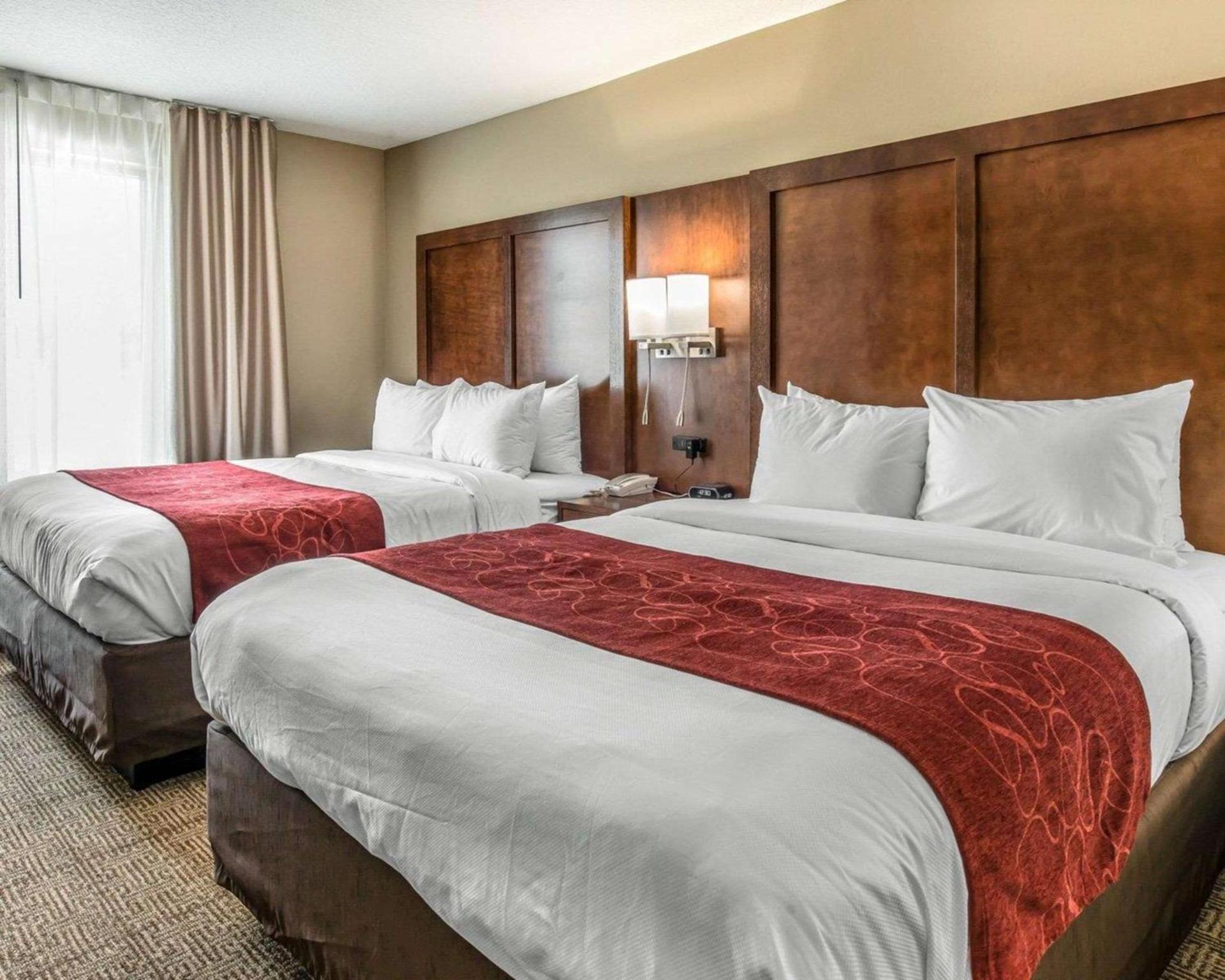 Comfort Suites Dunnellon near Rainbow Springs photo 16