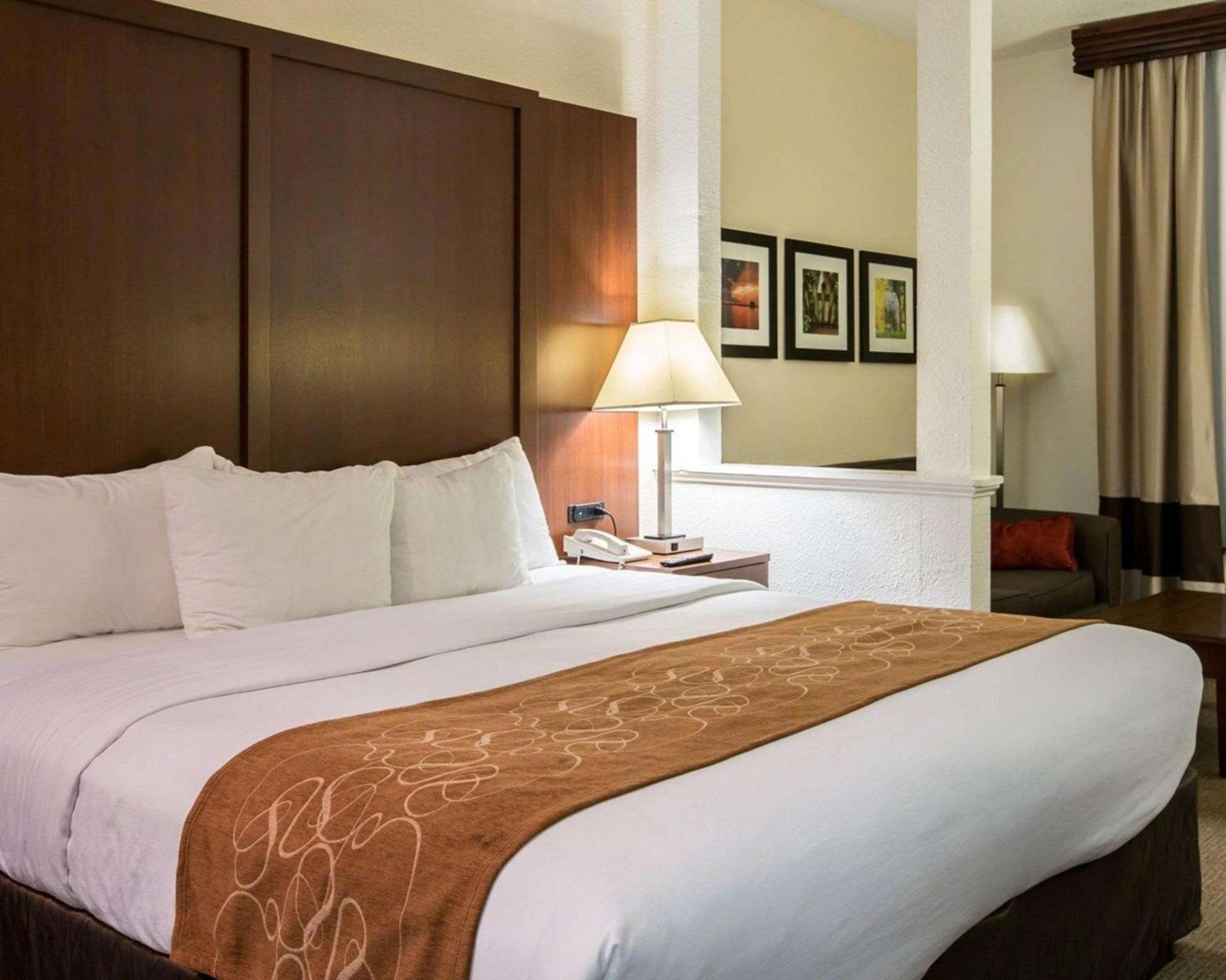Comfort Suites Cumming-Atlanta near Northside Hospital Forsyth photo 8