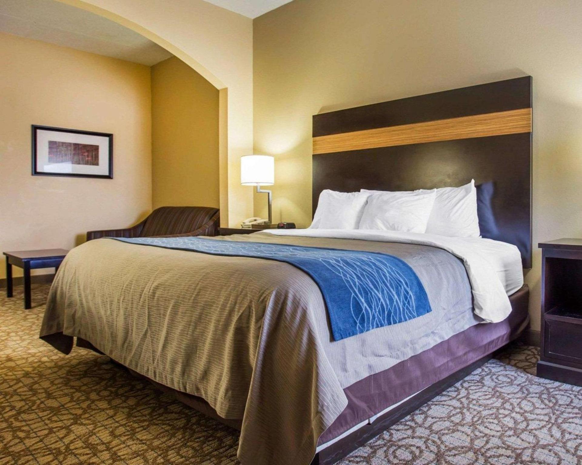 Comfort Inn & Suites at Stone Mountain photo 20