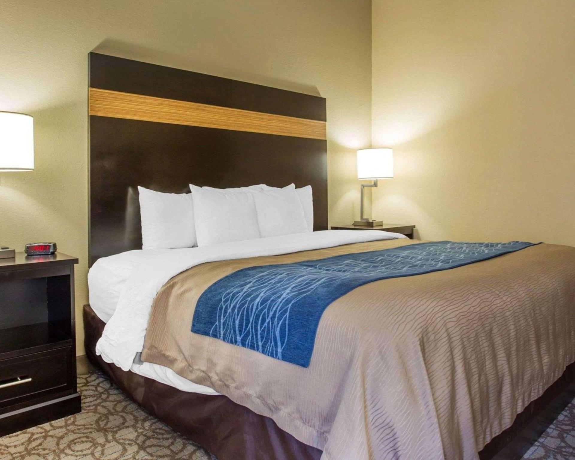Comfort Inn & Suites at Stone Mountain photo 26