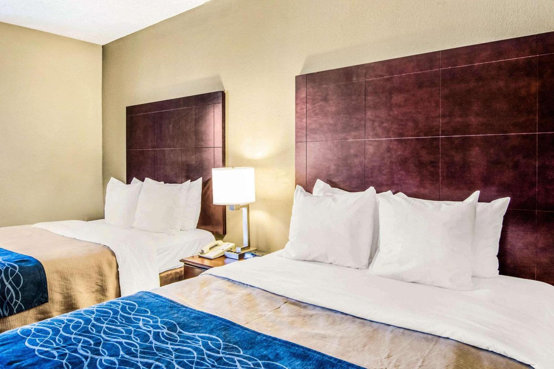 Comfort Inn Atlanta Downtown South photo 9