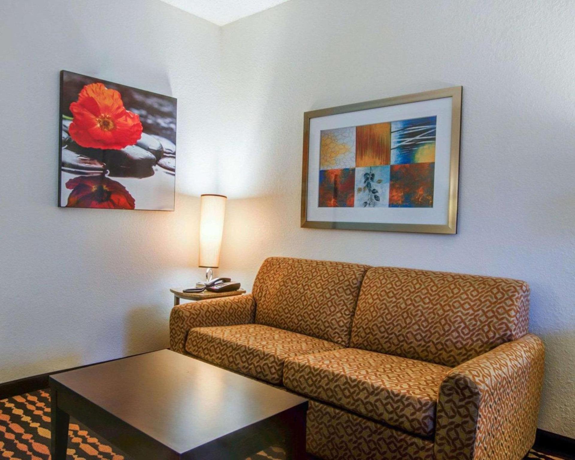 Comfort Suites Northside Hospital Gwinnett photo 14