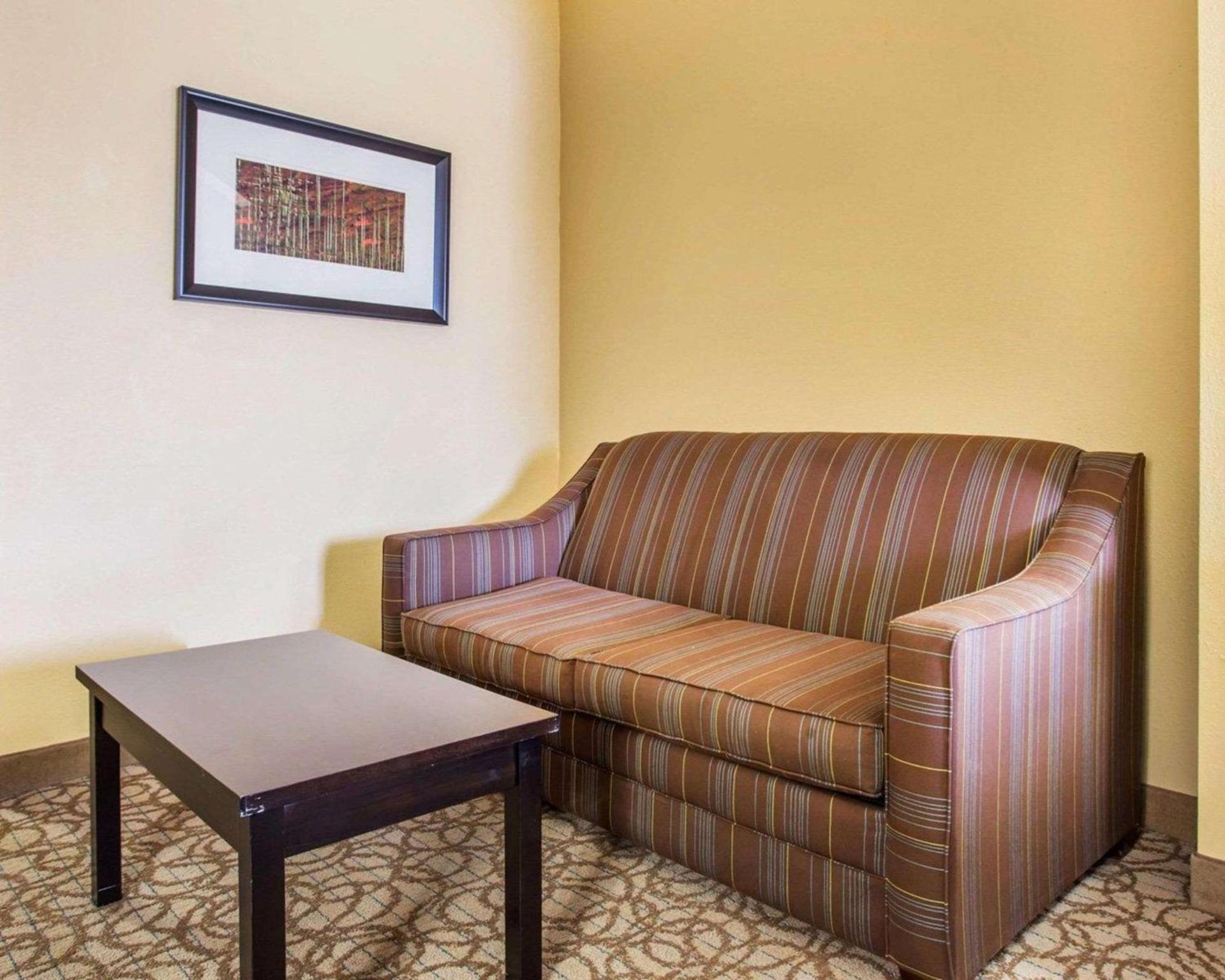 Comfort Inn & Suites at Stone Mountain photo 15