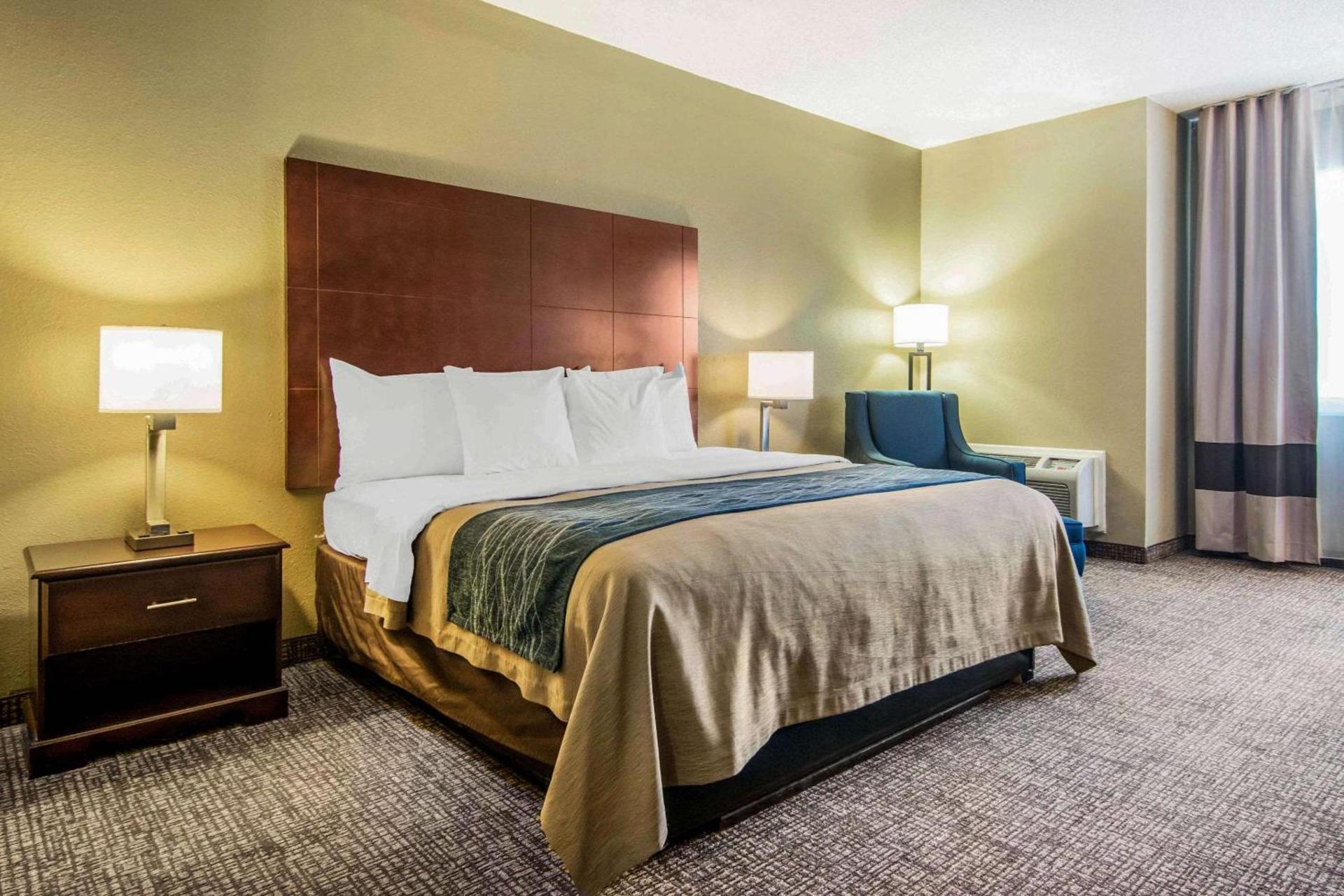 Comfort Inn Atlanta Downtown South photo 11