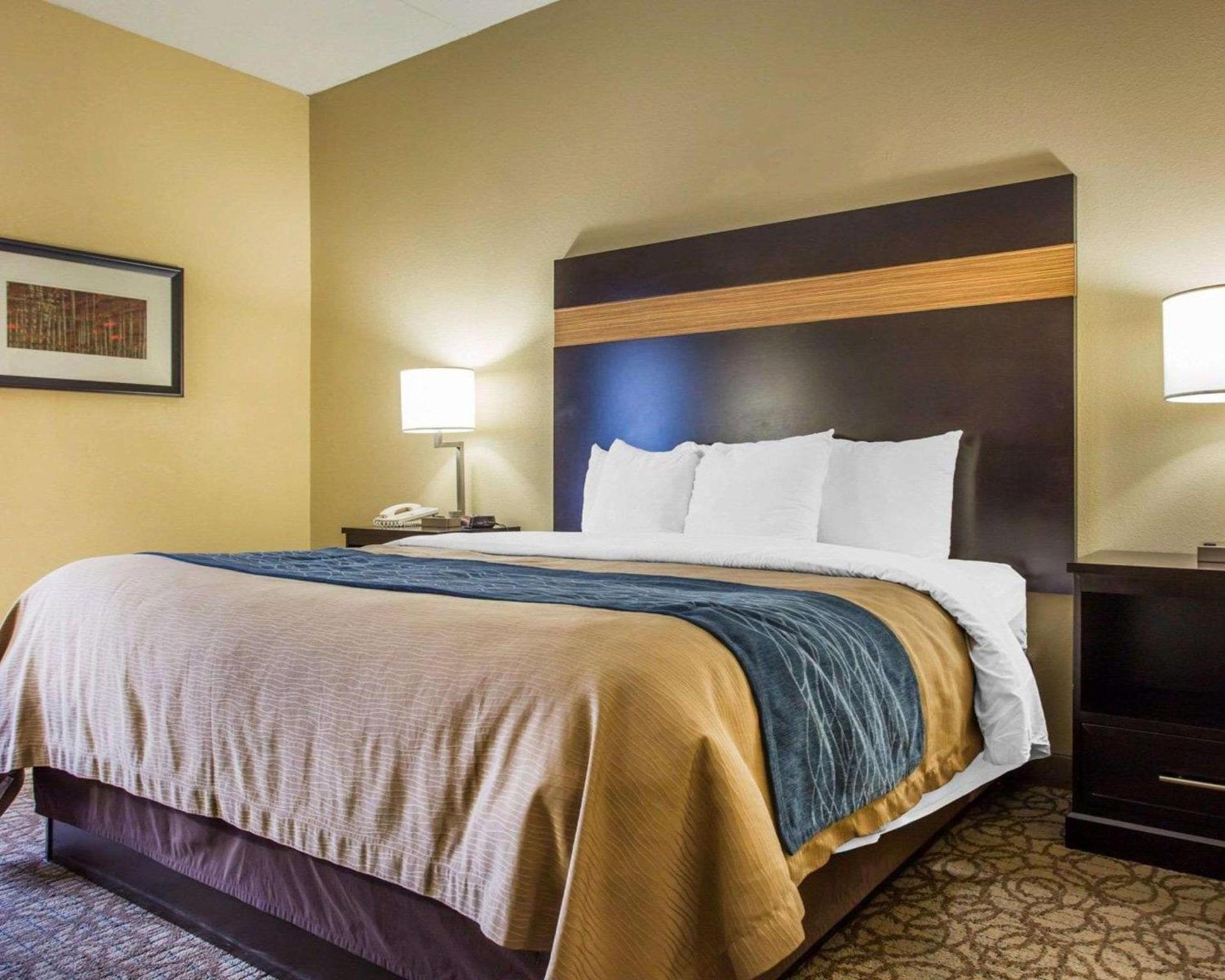 Comfort Inn & Suites at Stone Mountain photo 14