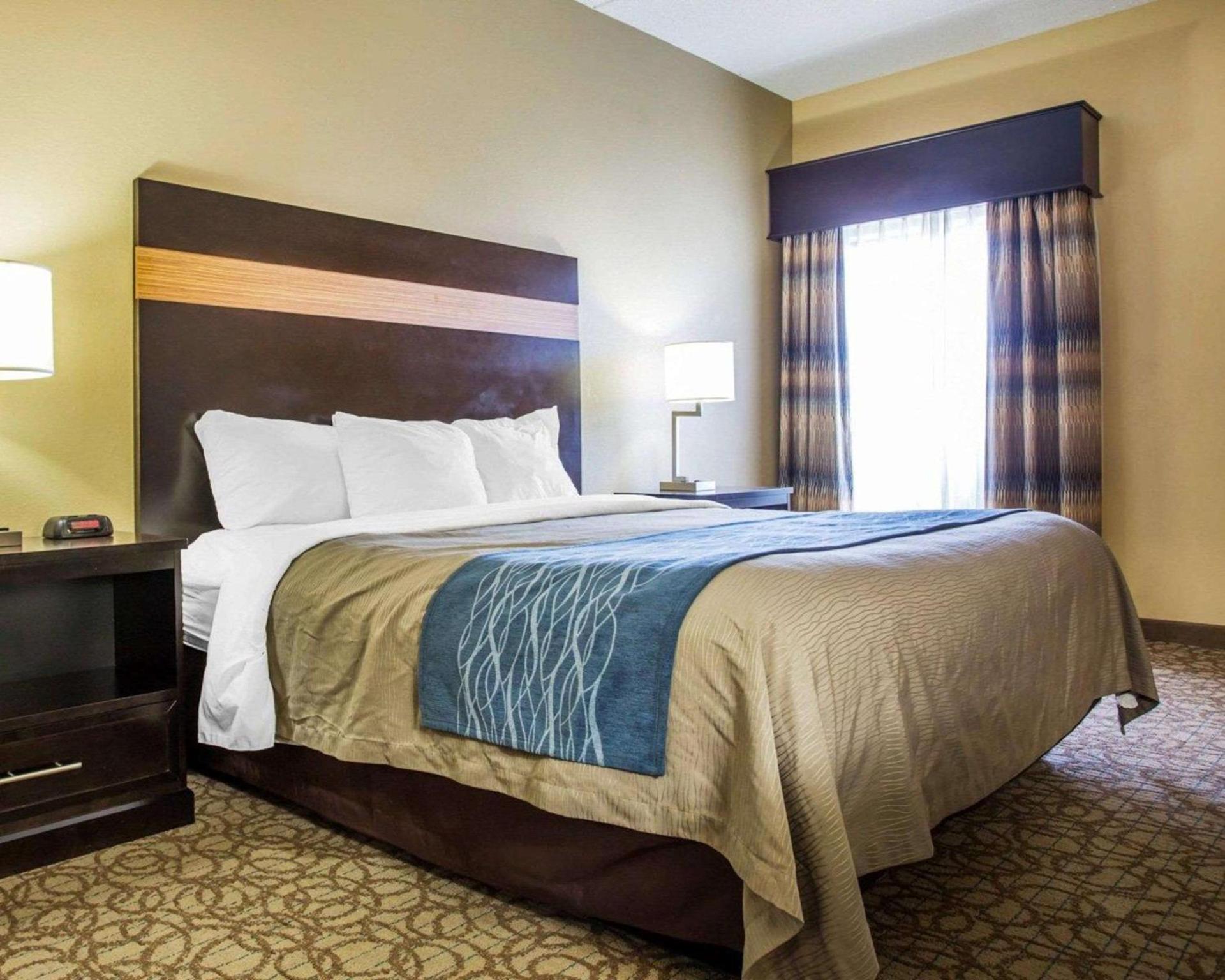 Comfort Inn & Suites at Stone Mountain photo 22