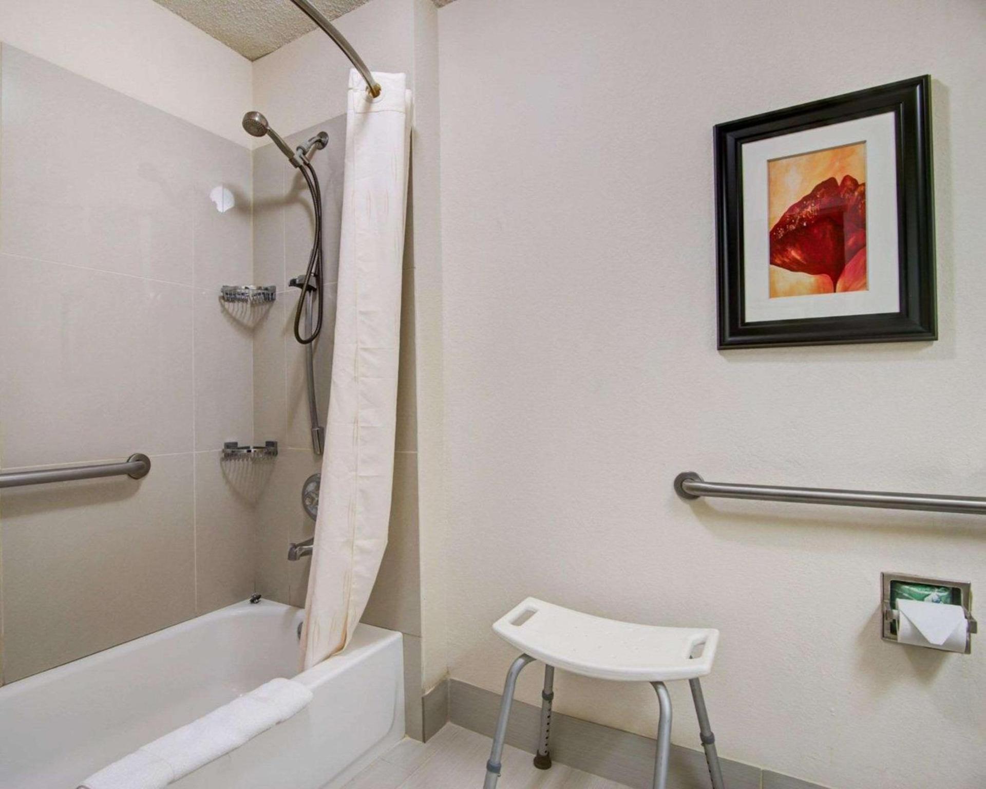 Comfort Suites Northside Hospital Gwinnett photo 13