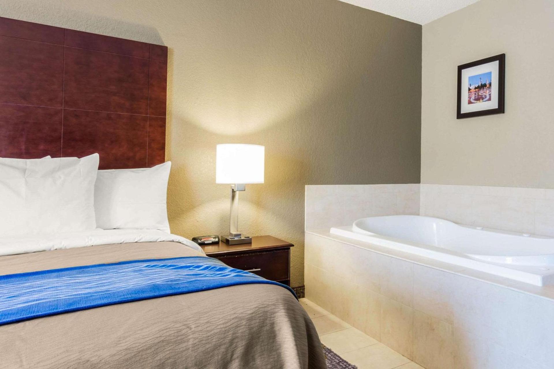Comfort Inn Atlanta Downtown South photo 18