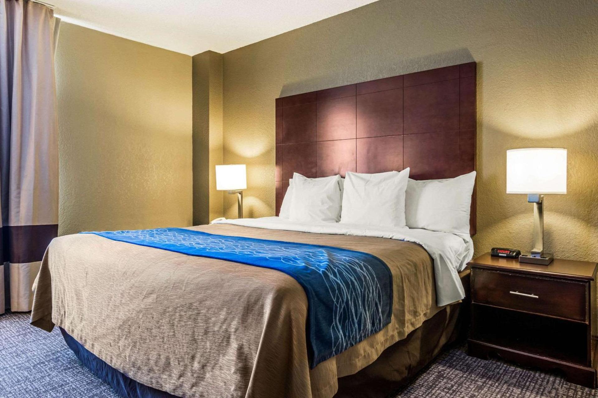 Comfort Inn Atlanta Downtown South photo 15