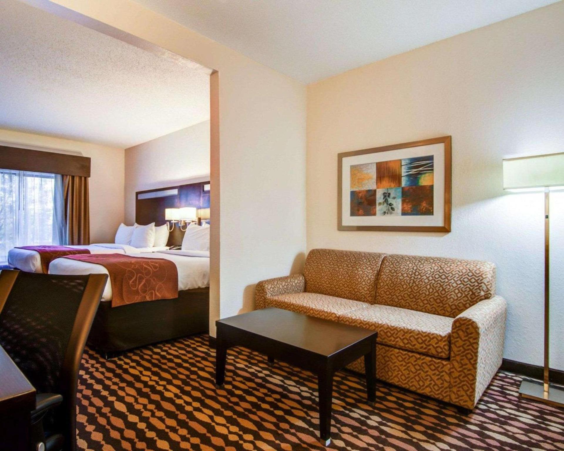 Comfort Suites Northside Hospital Gwinnett photo 9
