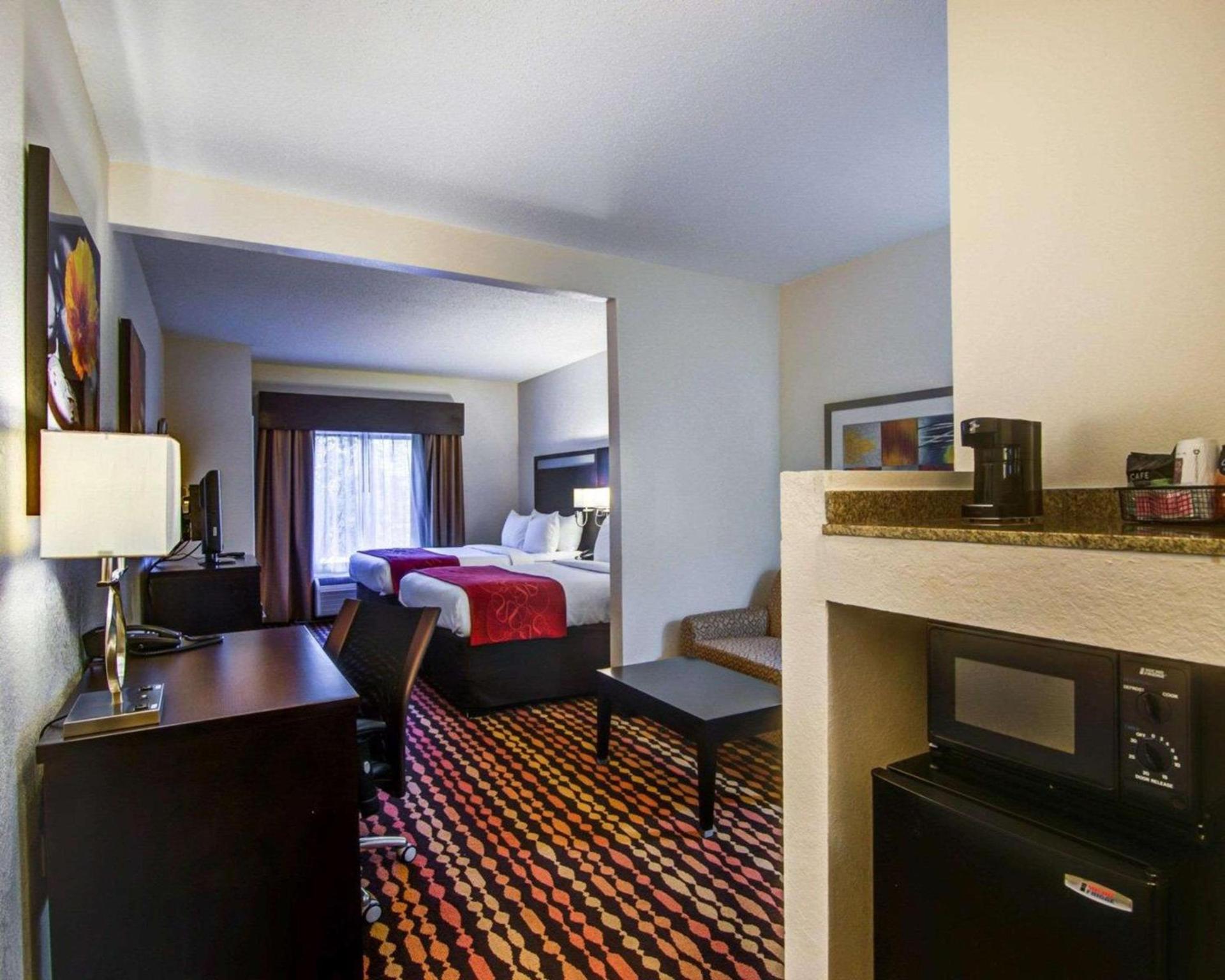 Comfort Suites Northside Hospital Gwinnett photo 8