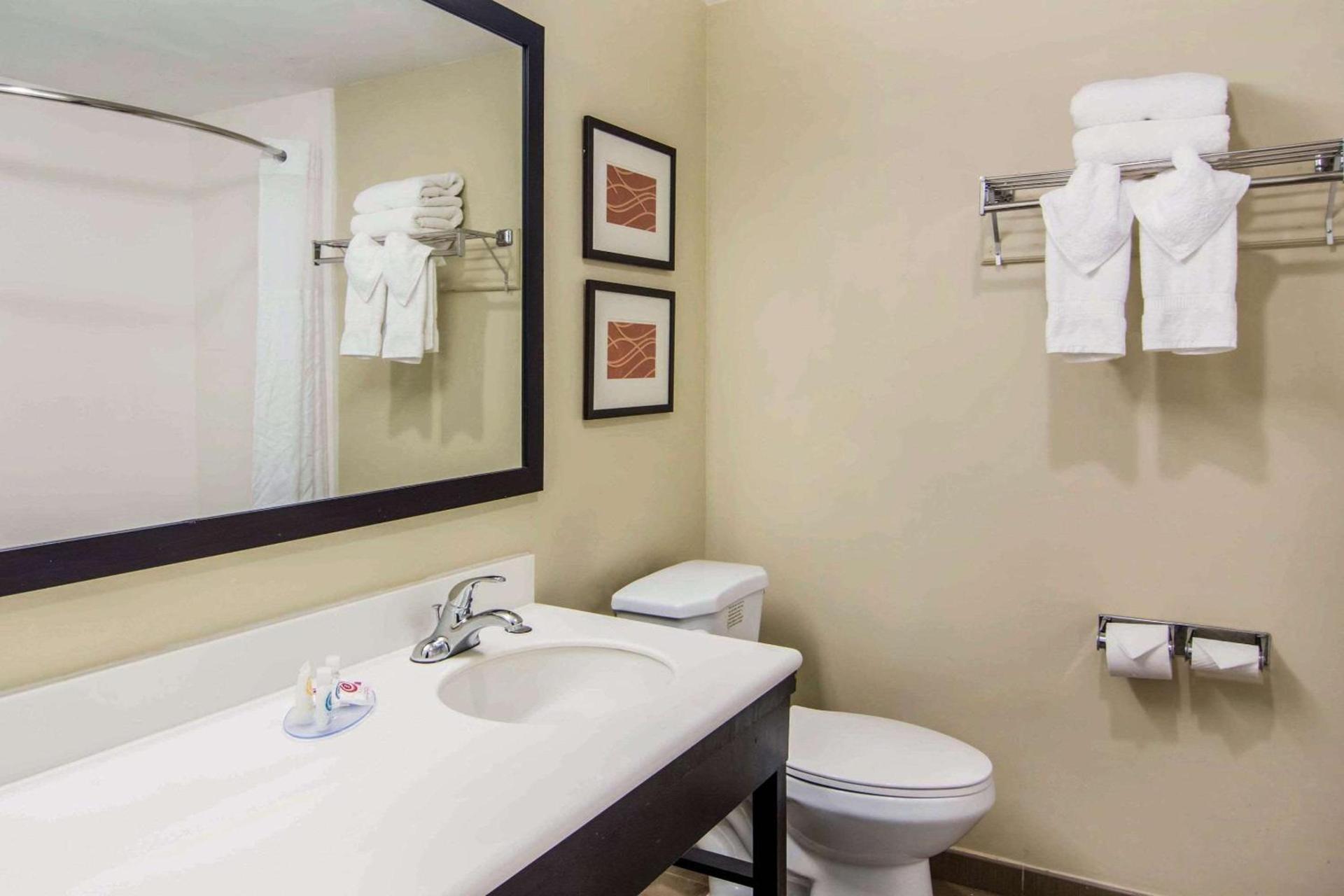 Comfort Inn Atlanta Downtown South photo 20