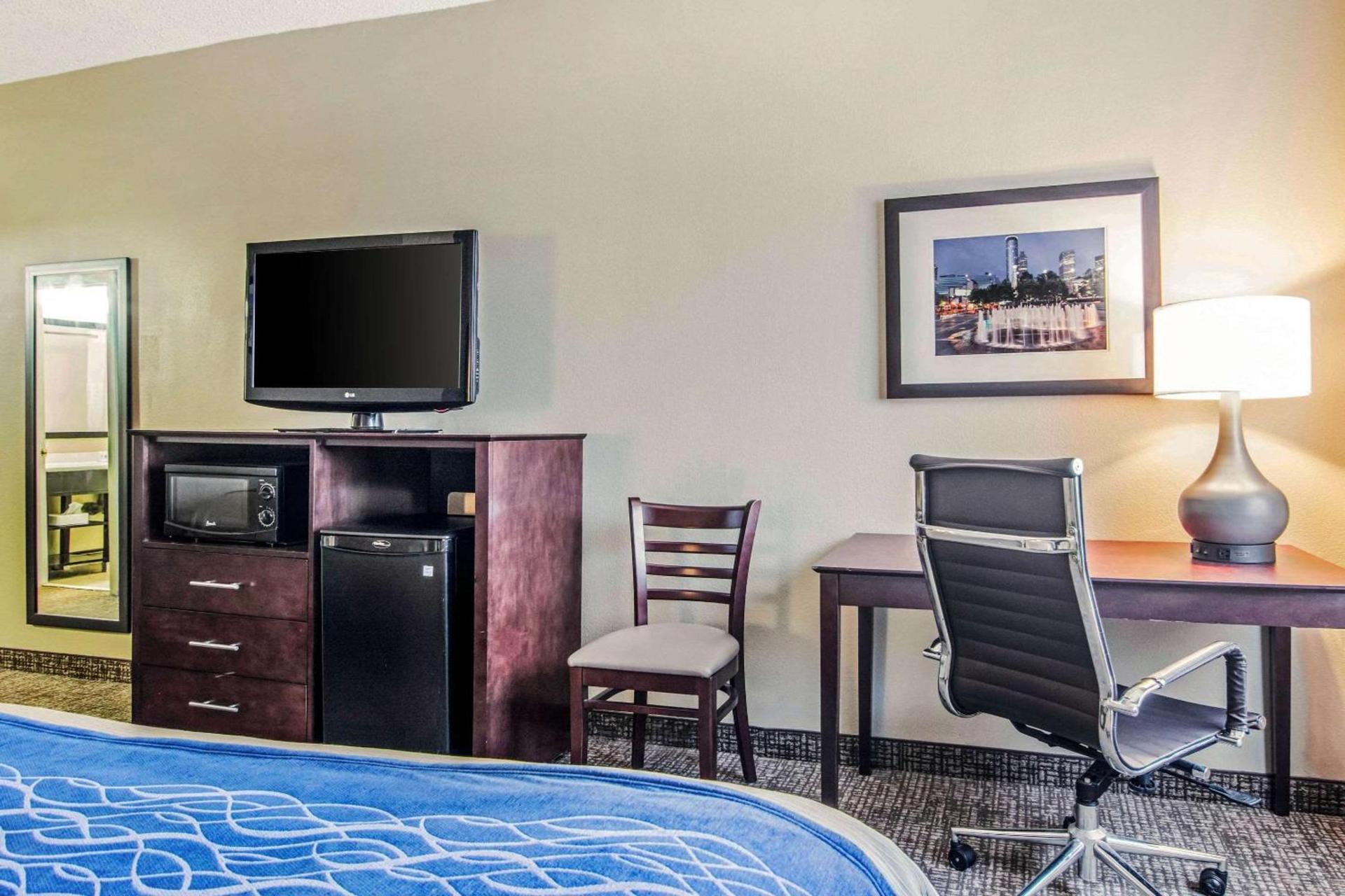 Comfort Inn Atlanta Downtown South photo 10
