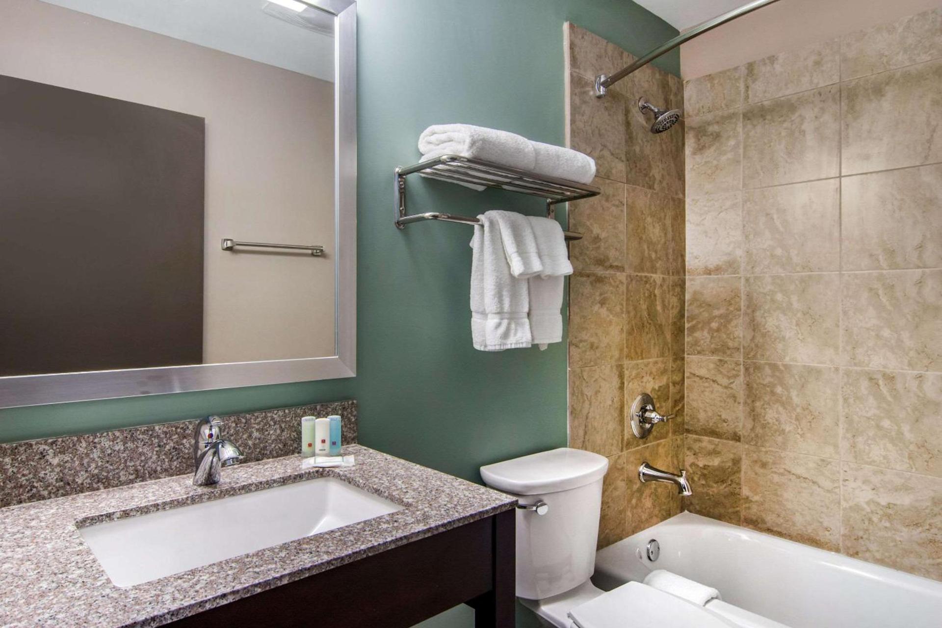 Clarion Inn & Suites Atlanta Downtown photo 34